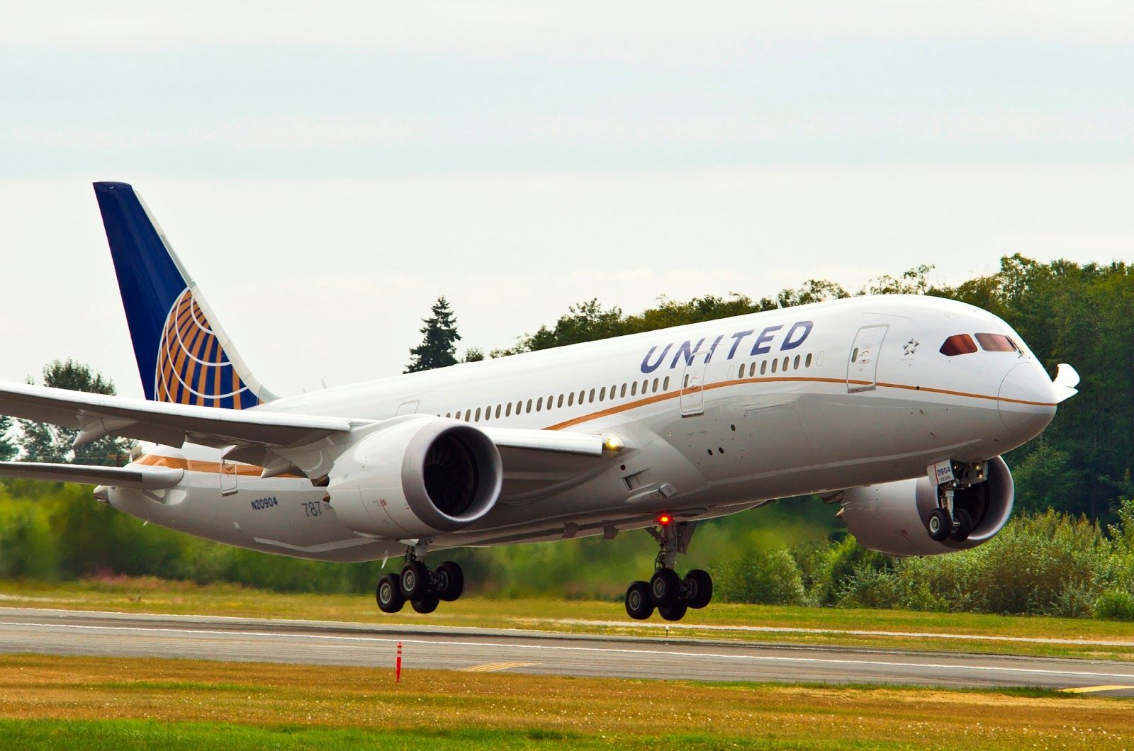 Boeing 787 Dreamliner of United Airlines Landing Phase Aircraft