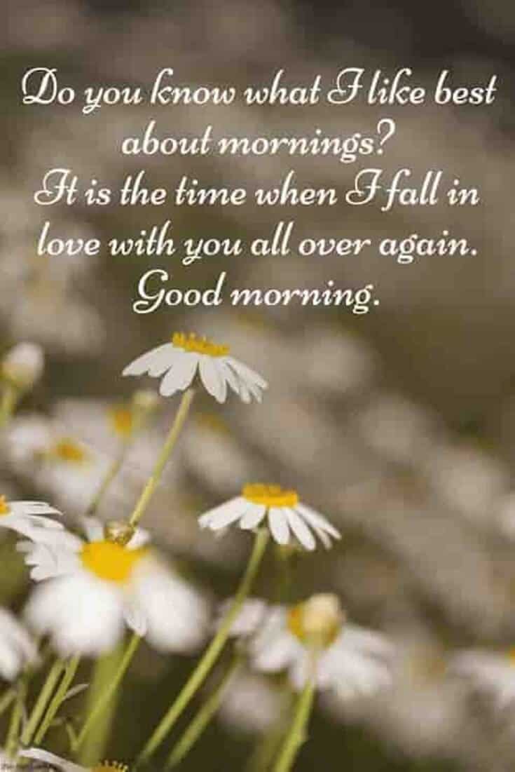 Good Morning Quotes And Wishes With Beautiful Image
