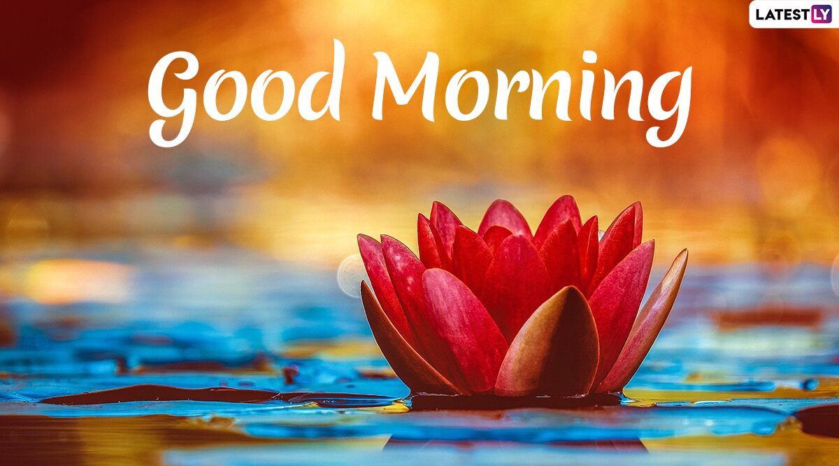 Send Good Morning HD Image & Wishes to Family & Friends As No