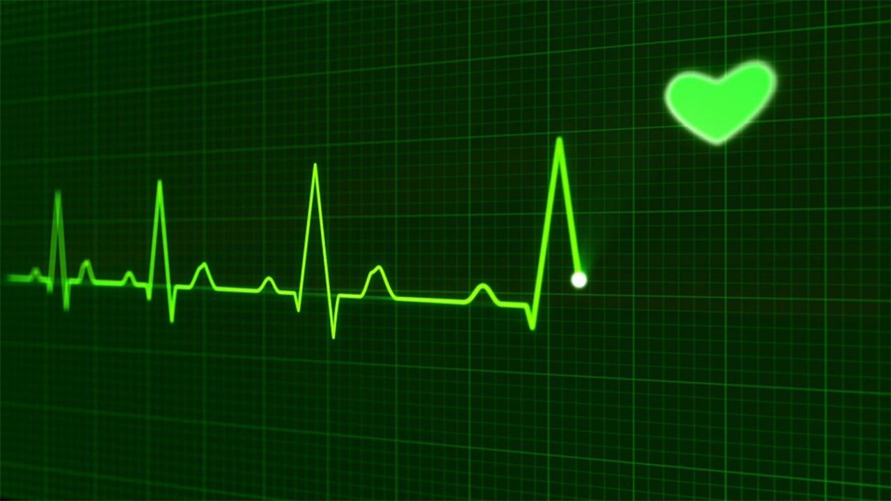 What Should My Heart Rate Be and Why?
