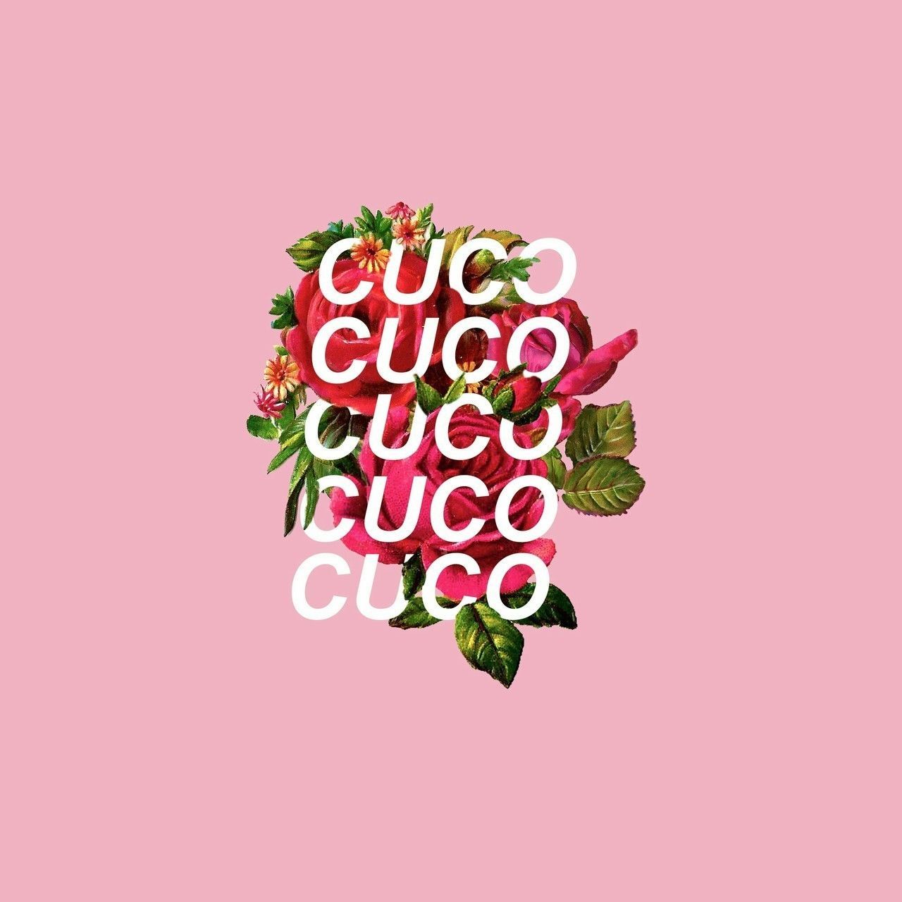 Aesthetic Cuco Wallpapers - Wallpaper Cave