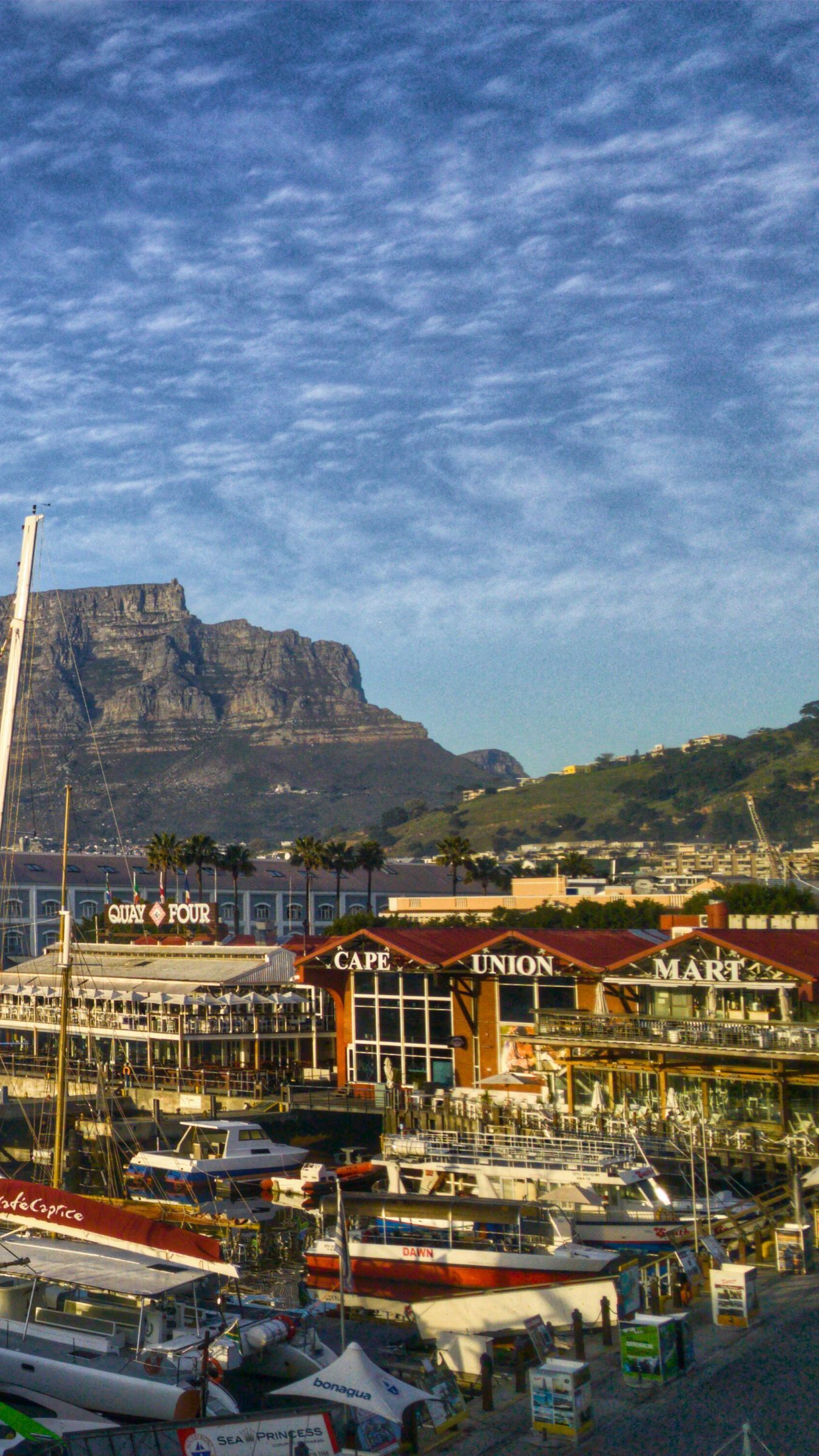 Download wallpaper 1350x2400 cape town, africa, shore, boats