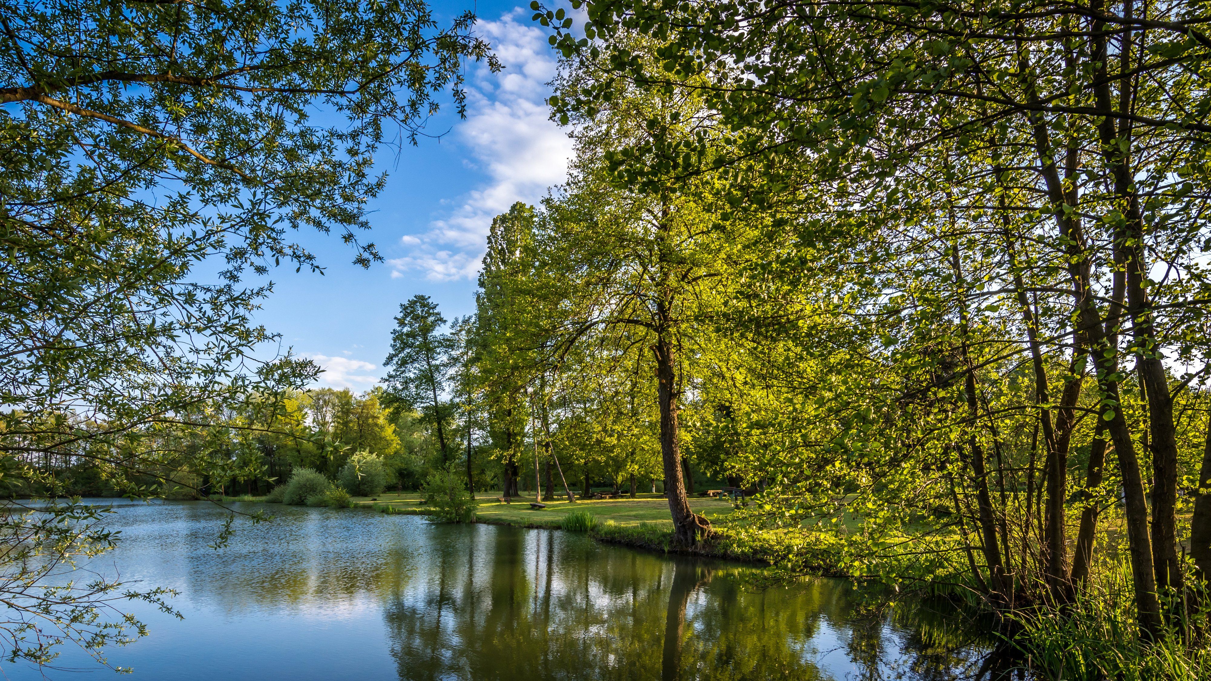 Croatia Summer Rivers Trees Bobovica Zagreb Nature wallpaper