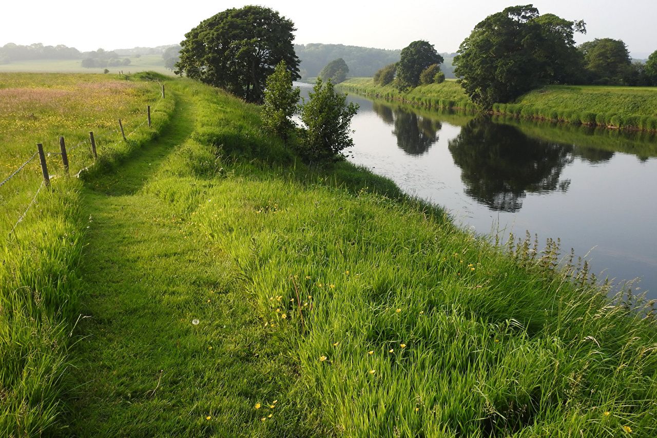 Photos United Kingdom River Ribble Nature Summer Grass river