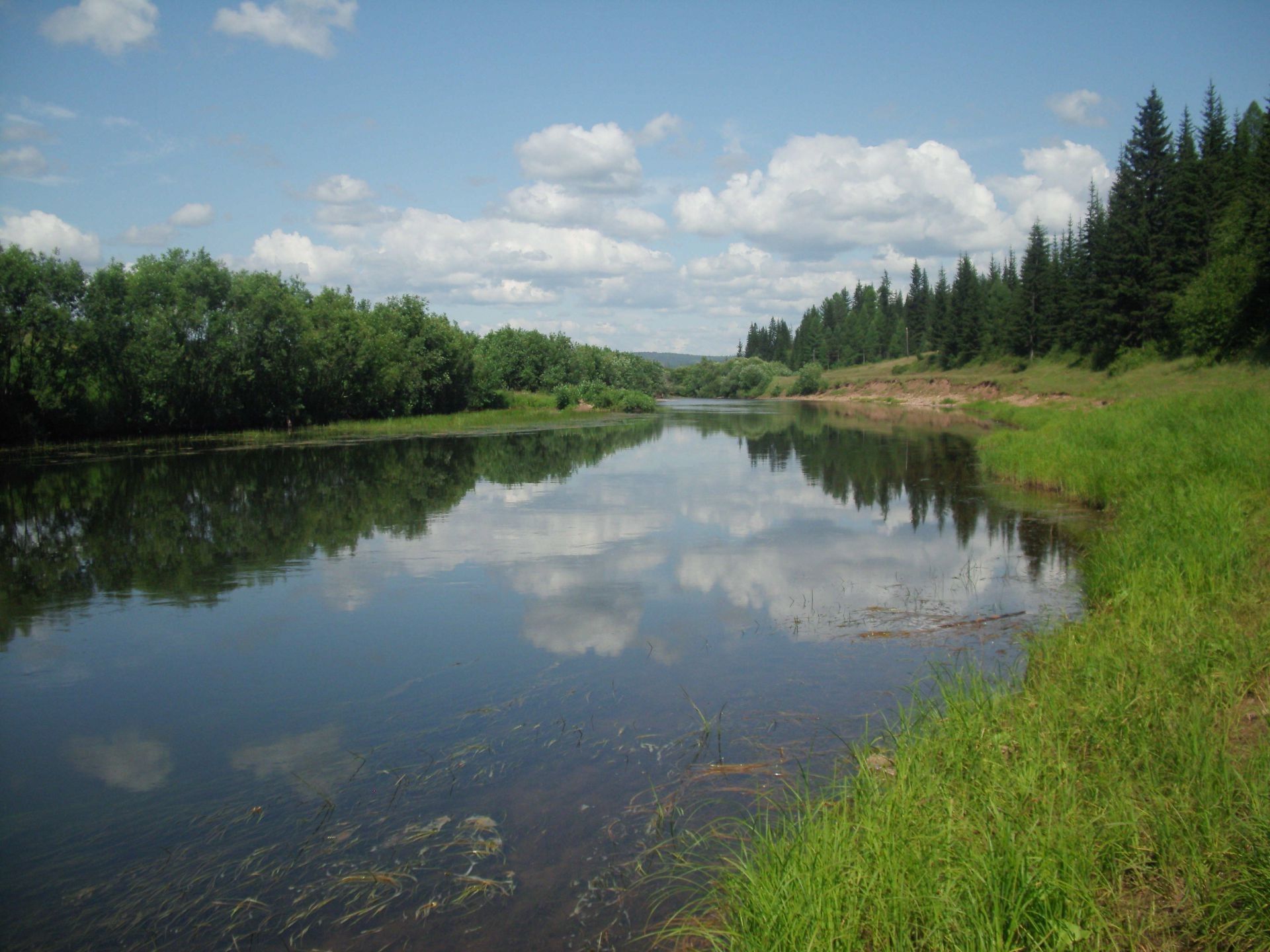 Summer river trove of obloka