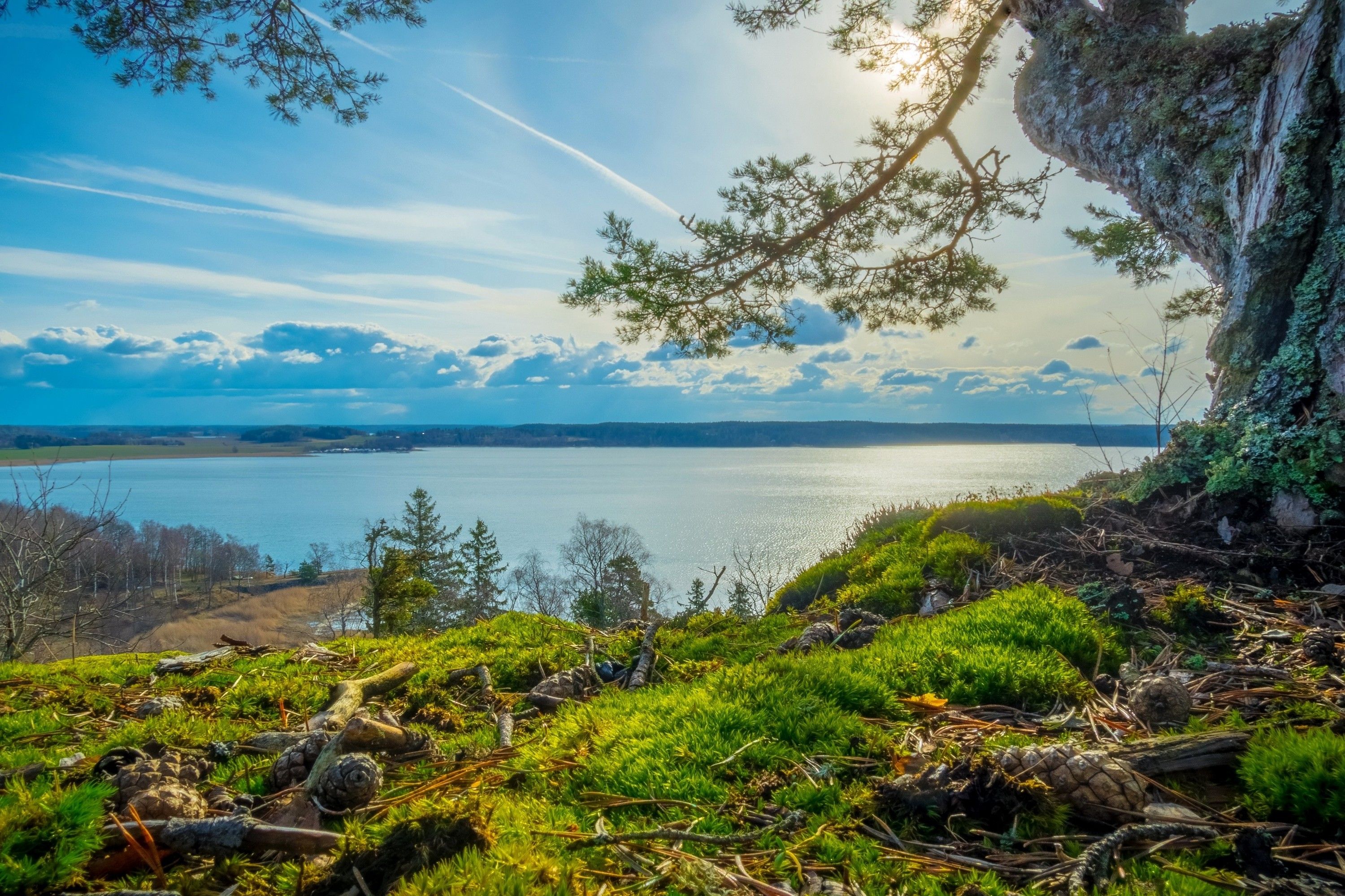 nature, Landscape, Summer, River, Trees, Grass, Clouds, Sunlight