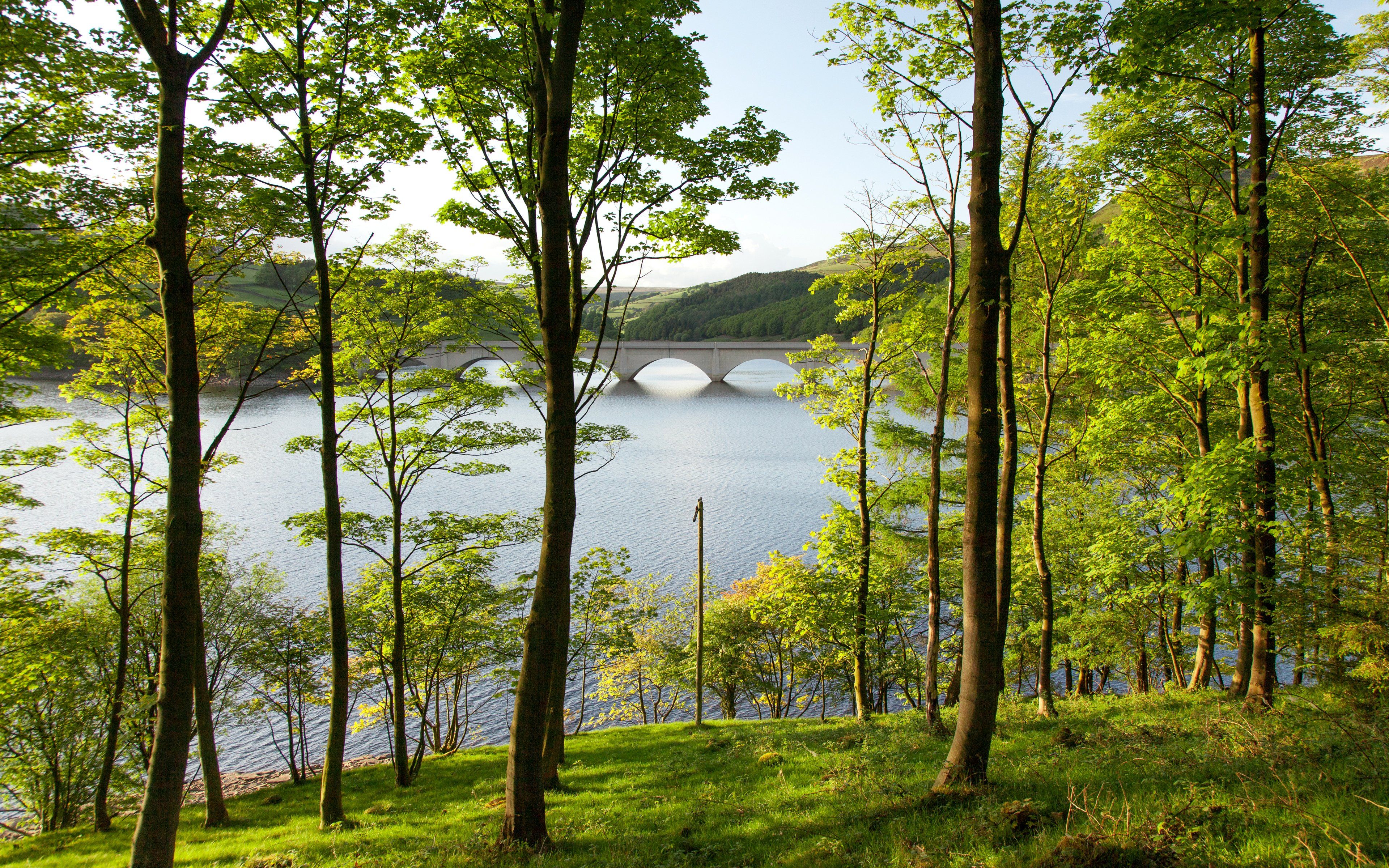 england, Rivers, Bridges, Summer, Trees, Ladybower, Reservoir