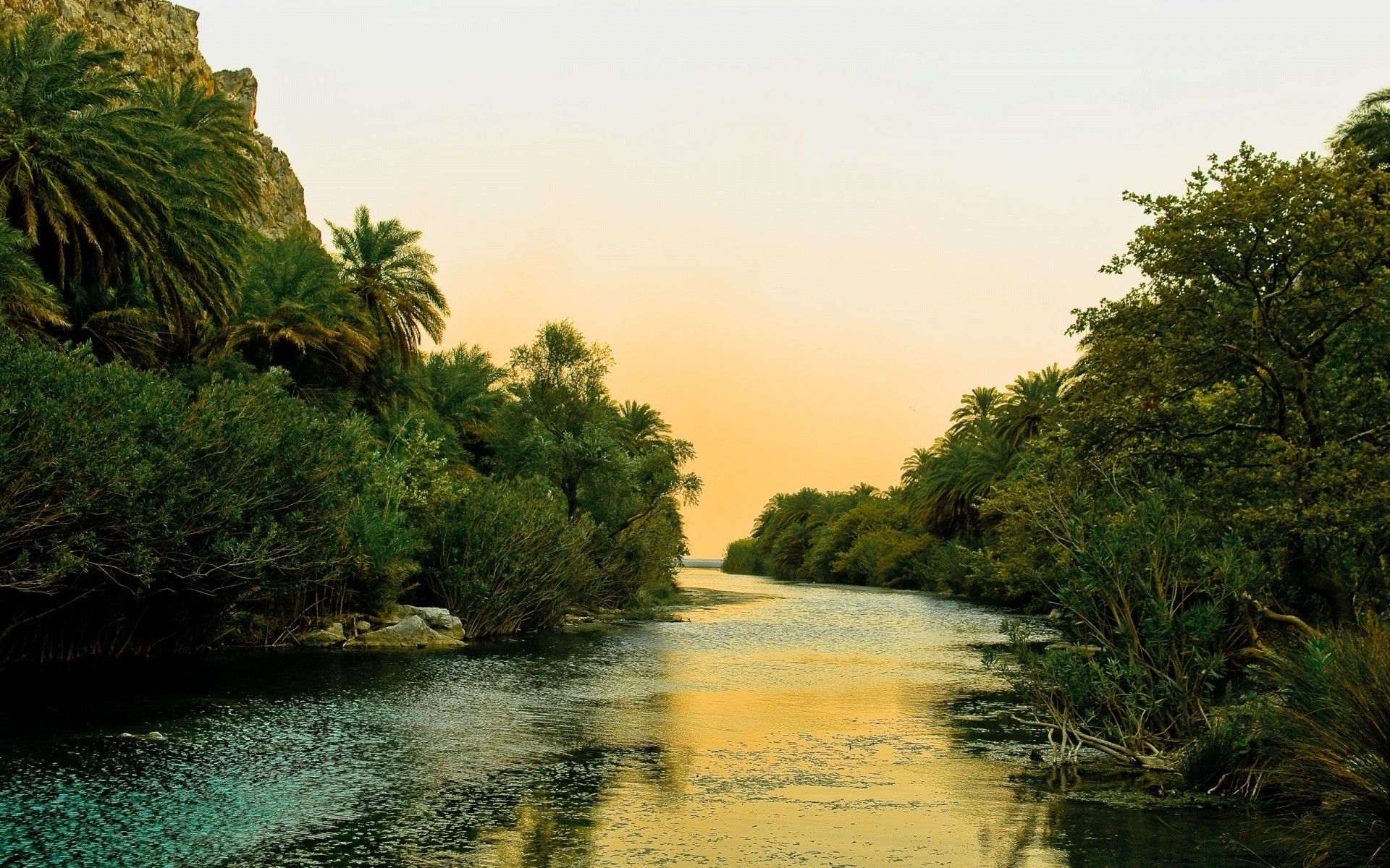 River And Palm Trees