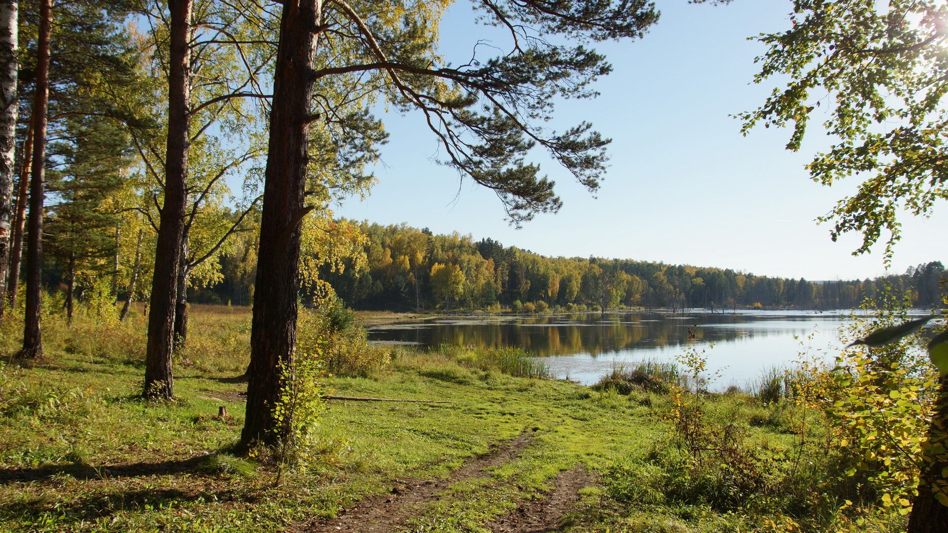 Picture Siberia Russia Nature Summer forest Grass river 1920x1080