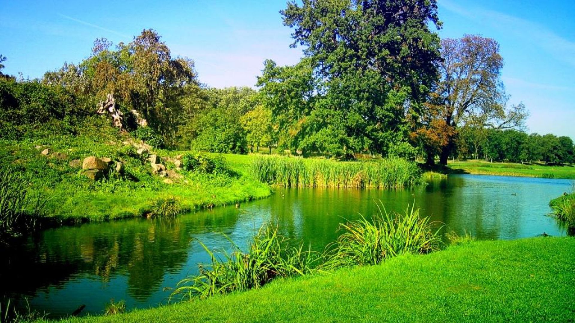 Green River Background. River Wallpaper