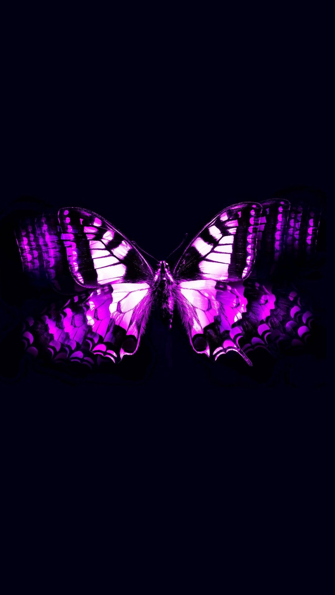 iPhone Wallpapers Purple Butterfly