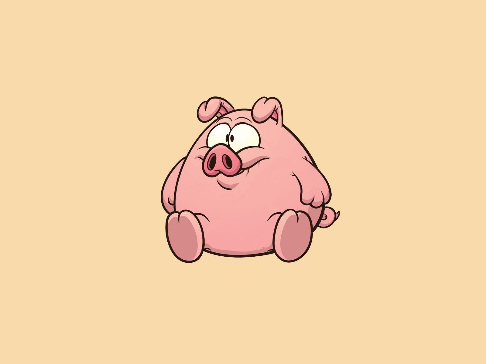 Fat pig on a light background Desktop wallpaper 1600x1200