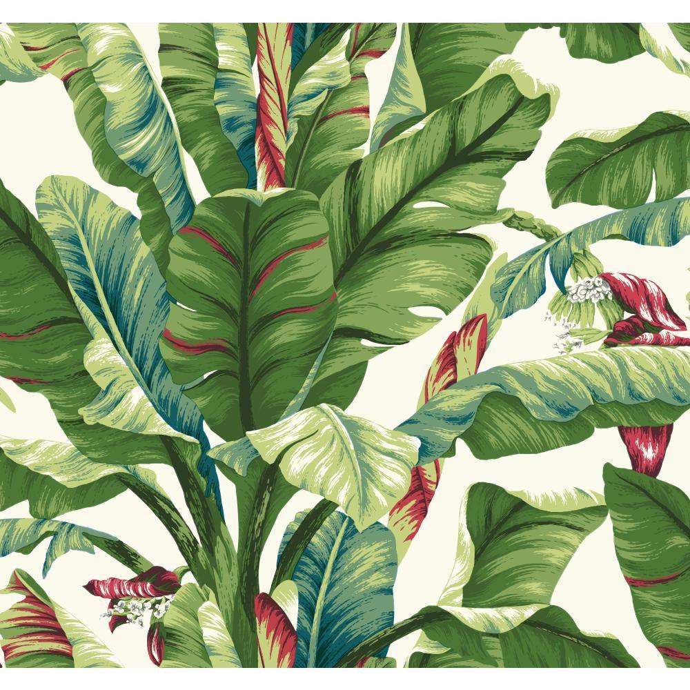 York Wallcoverings Tropics Banana Leaf Wallpaper AT7070 Home