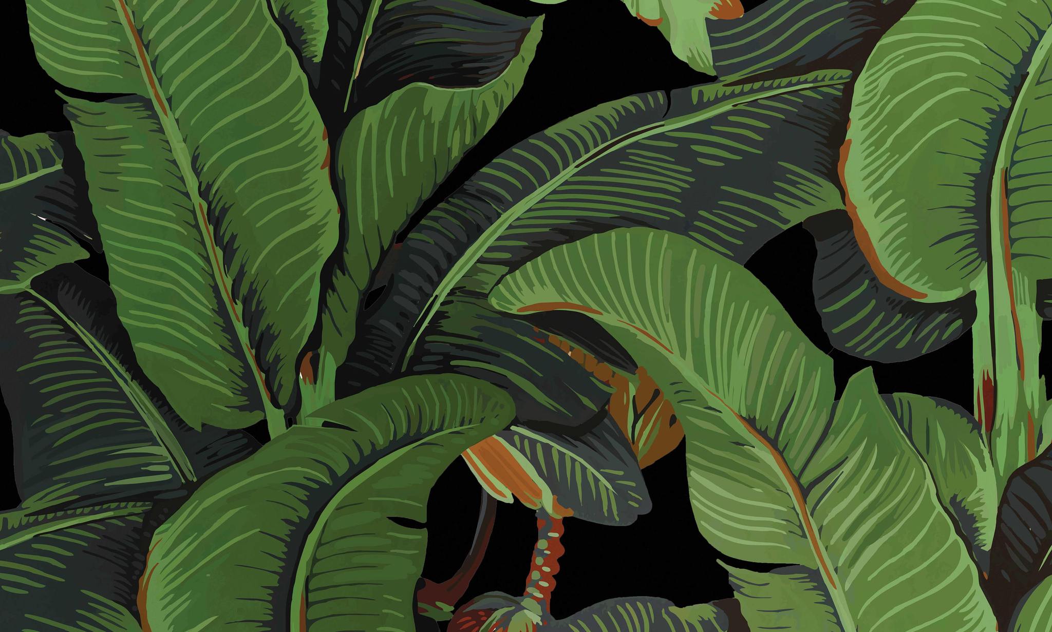 Banana Leaf Wallpaper Free Banana Leaf Background