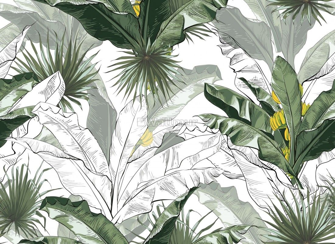 Banana Leaf Wallpapers - Wallpaper Cave