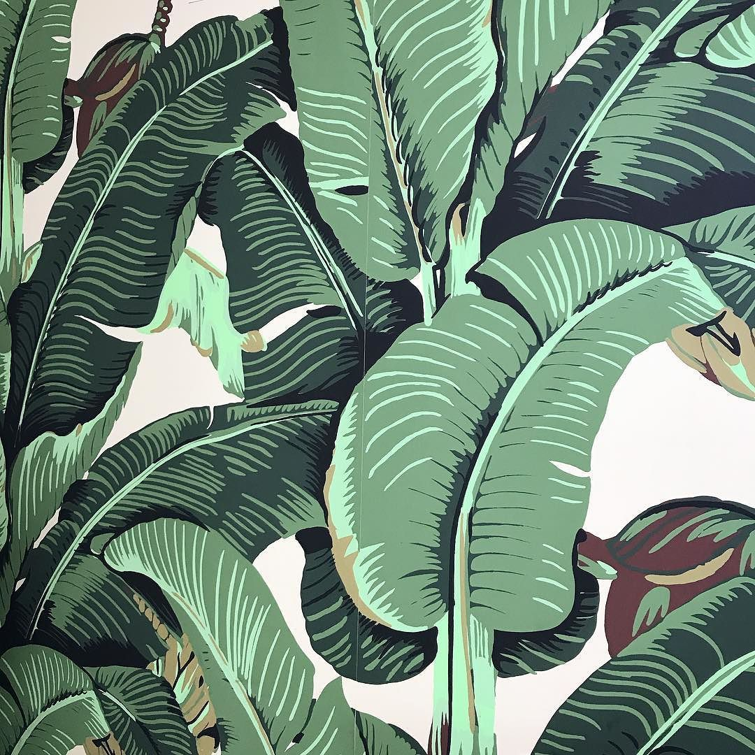 The Original Beverly Hills Martinique Banana Leaf Wallpaper