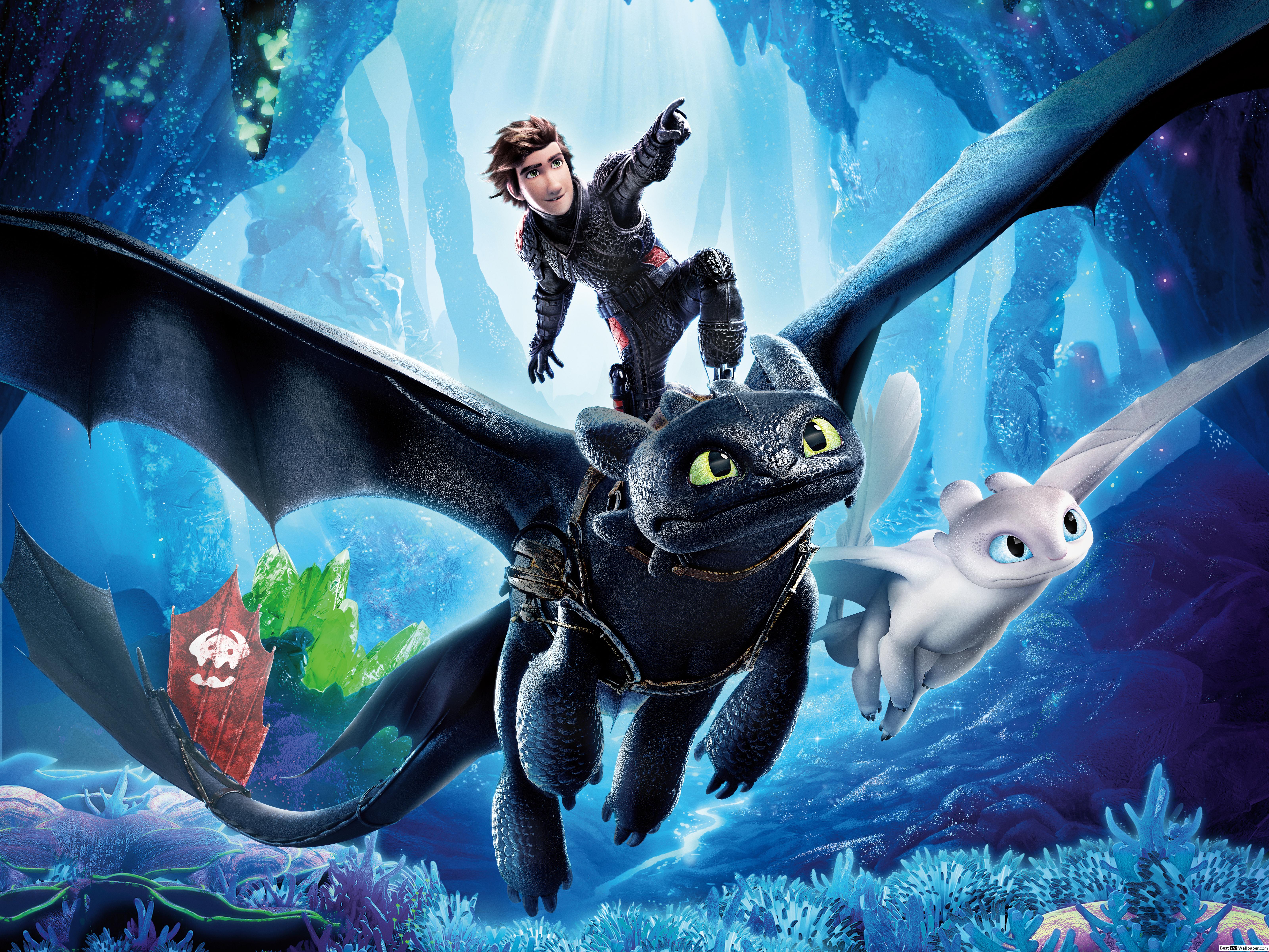 Hiccup and Toothless and a light fury HD wallpaper download