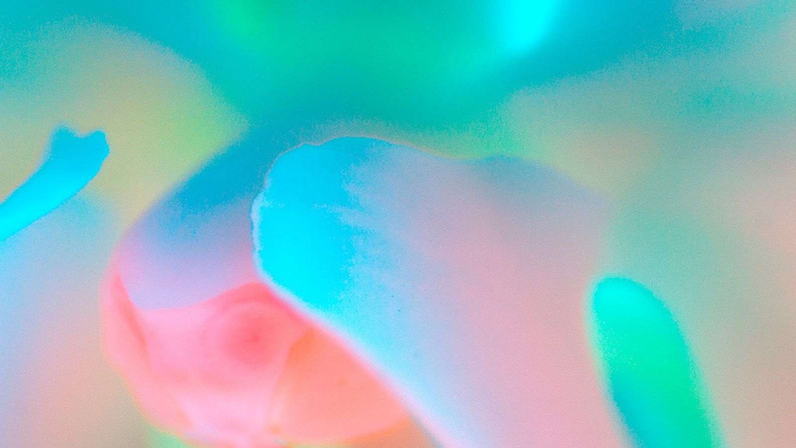 Flower Green Macro Blur Gradation Wallpaper