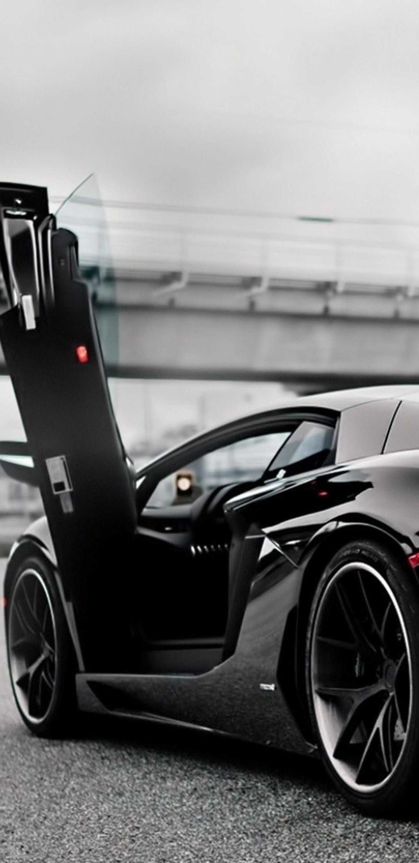 Black Lamborghini Aventador Doors UP HD Wallpaper (1440x2960)