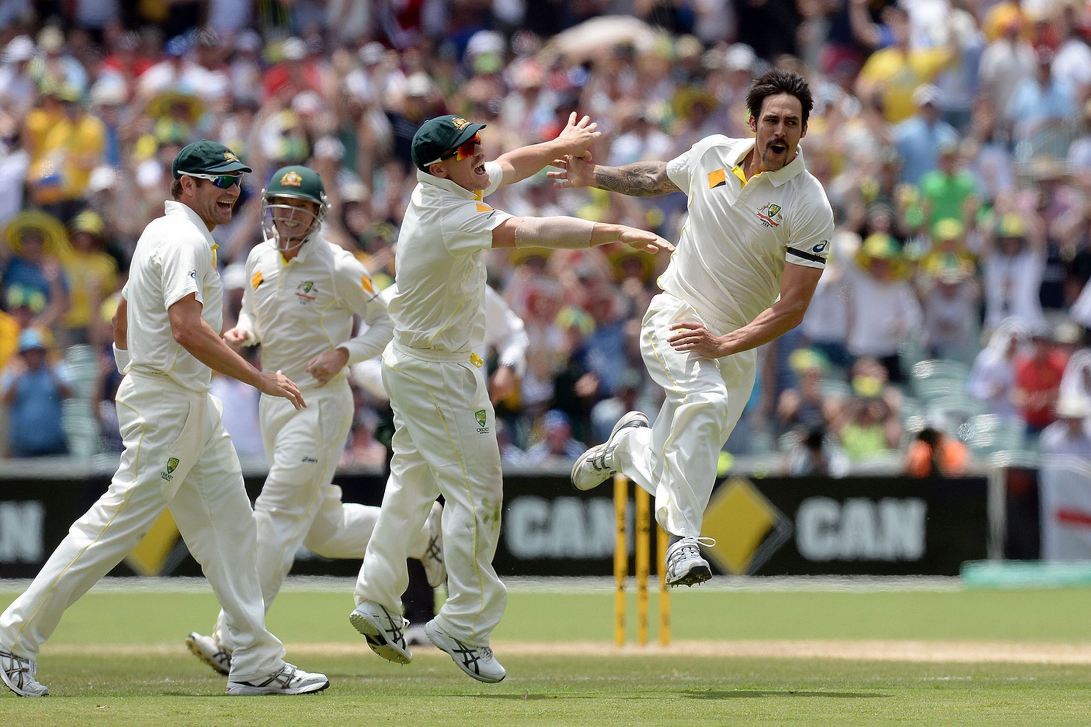 Are you looking for Mitchell Johnson HD Wallpaper? Download