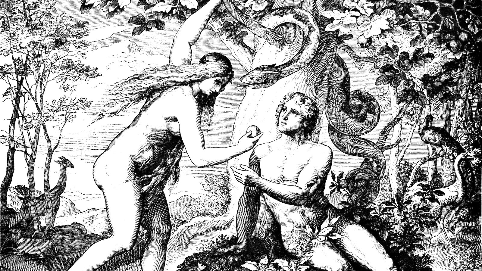 Who Was Eve?. My Jewish Learning