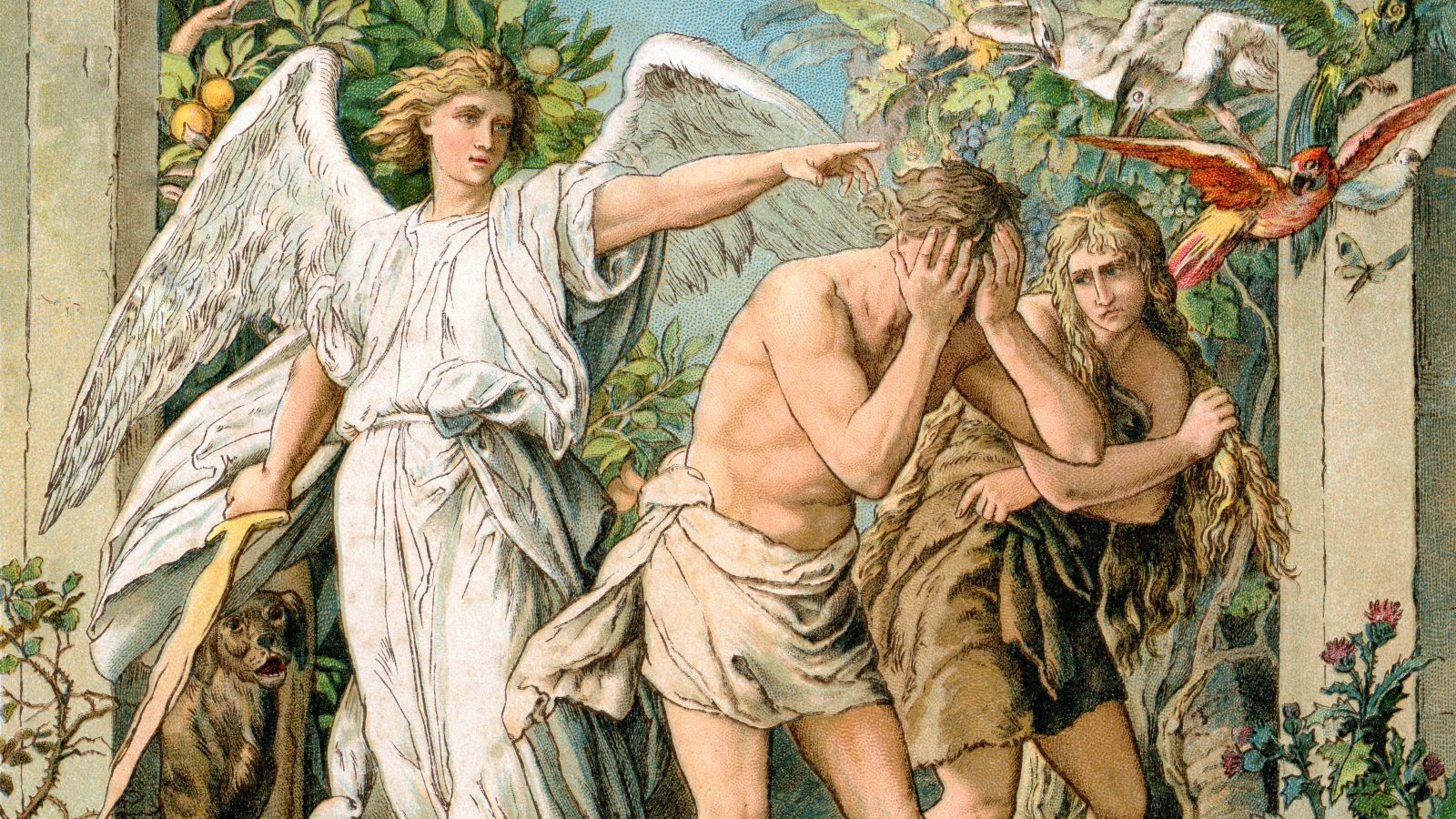 The Onion Conservatives Argue Adam And Eve