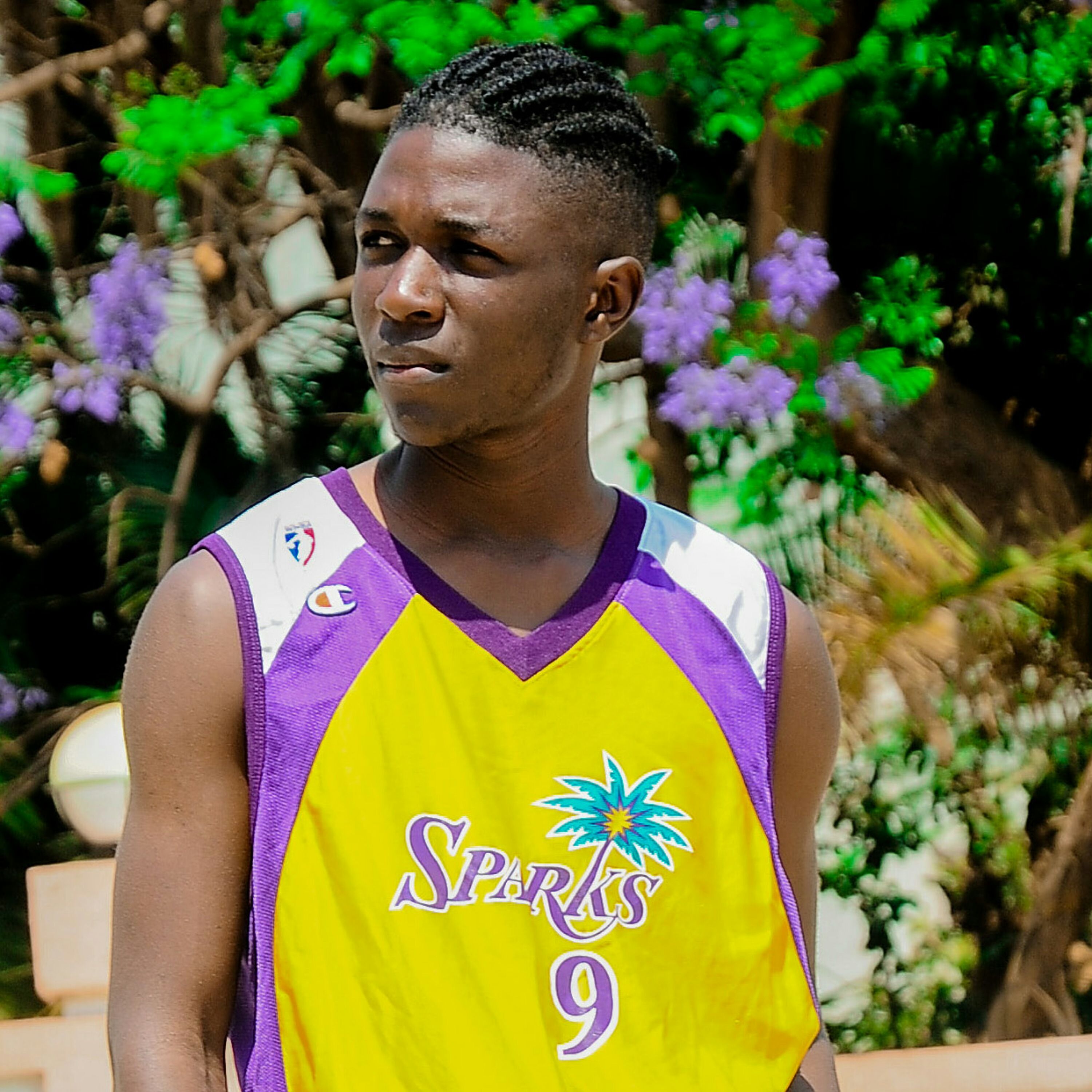 Fichier:Anzor alem artiste