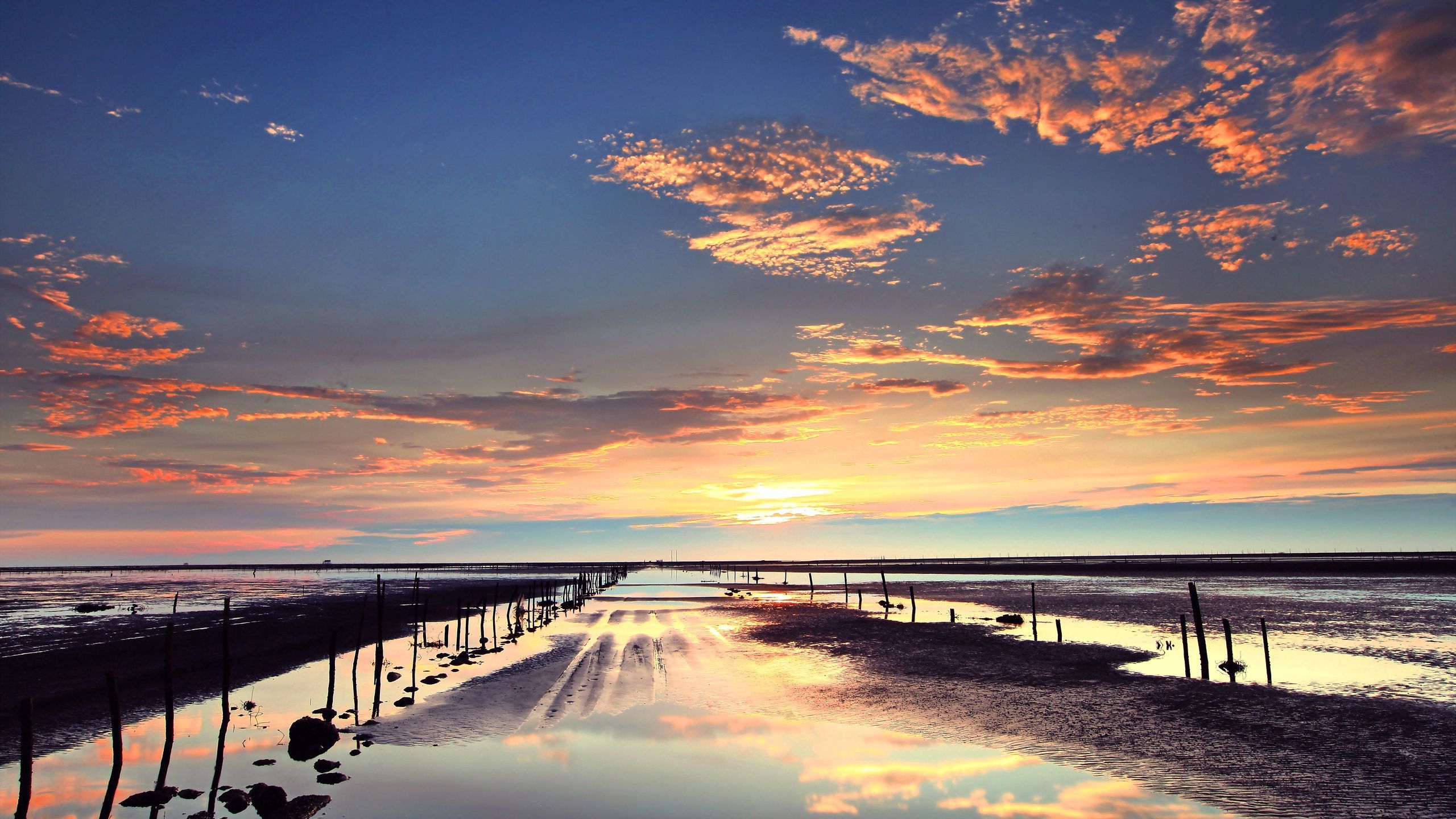 Download wallpaper 2560x1440 outflow, stakes, evening, sand, pools