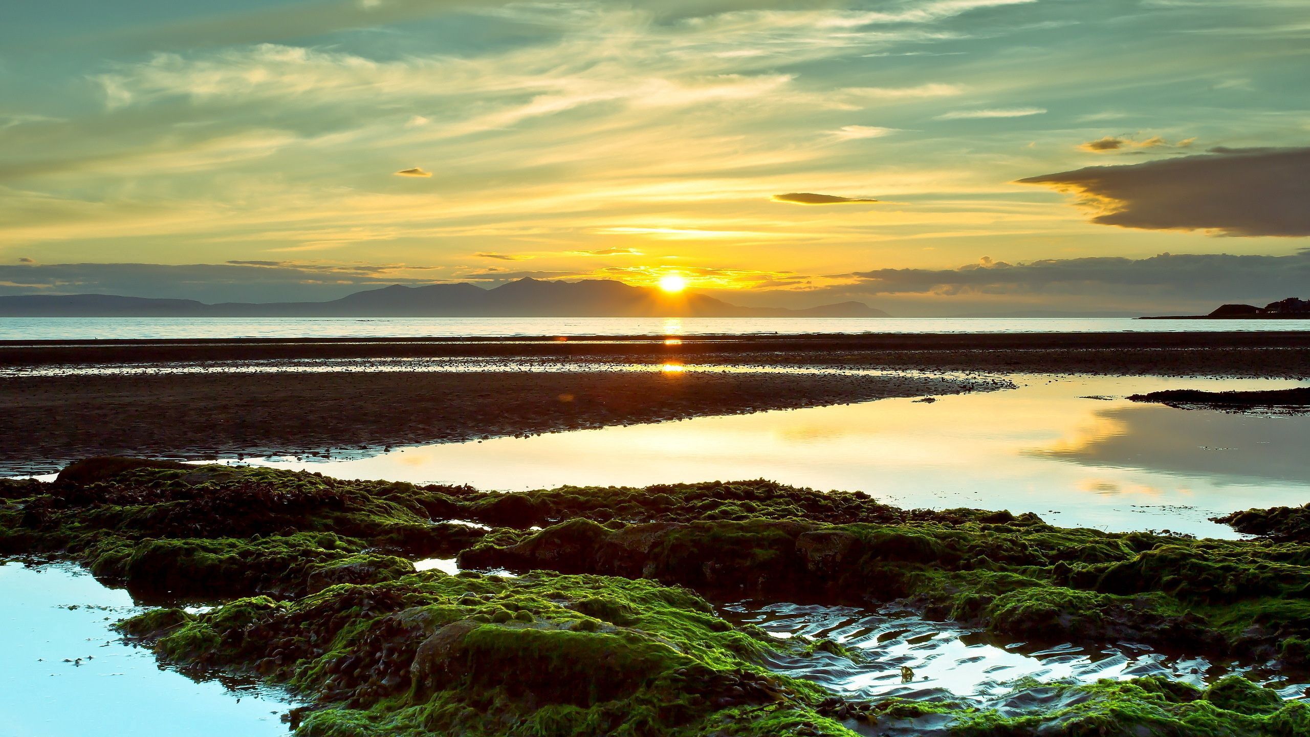 Download wallpaper 2560x1440 sun, decline, reeves, evening, moss