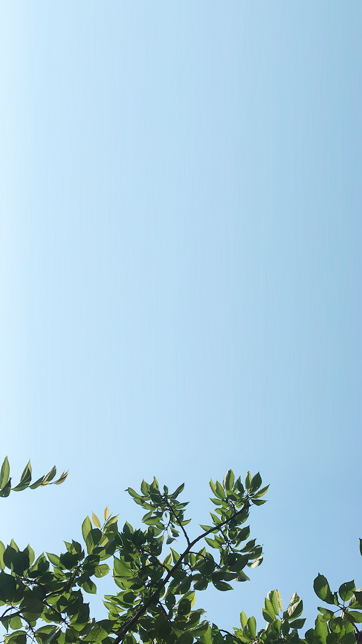 iPhone 6S wallpaper collection. [All about summer]