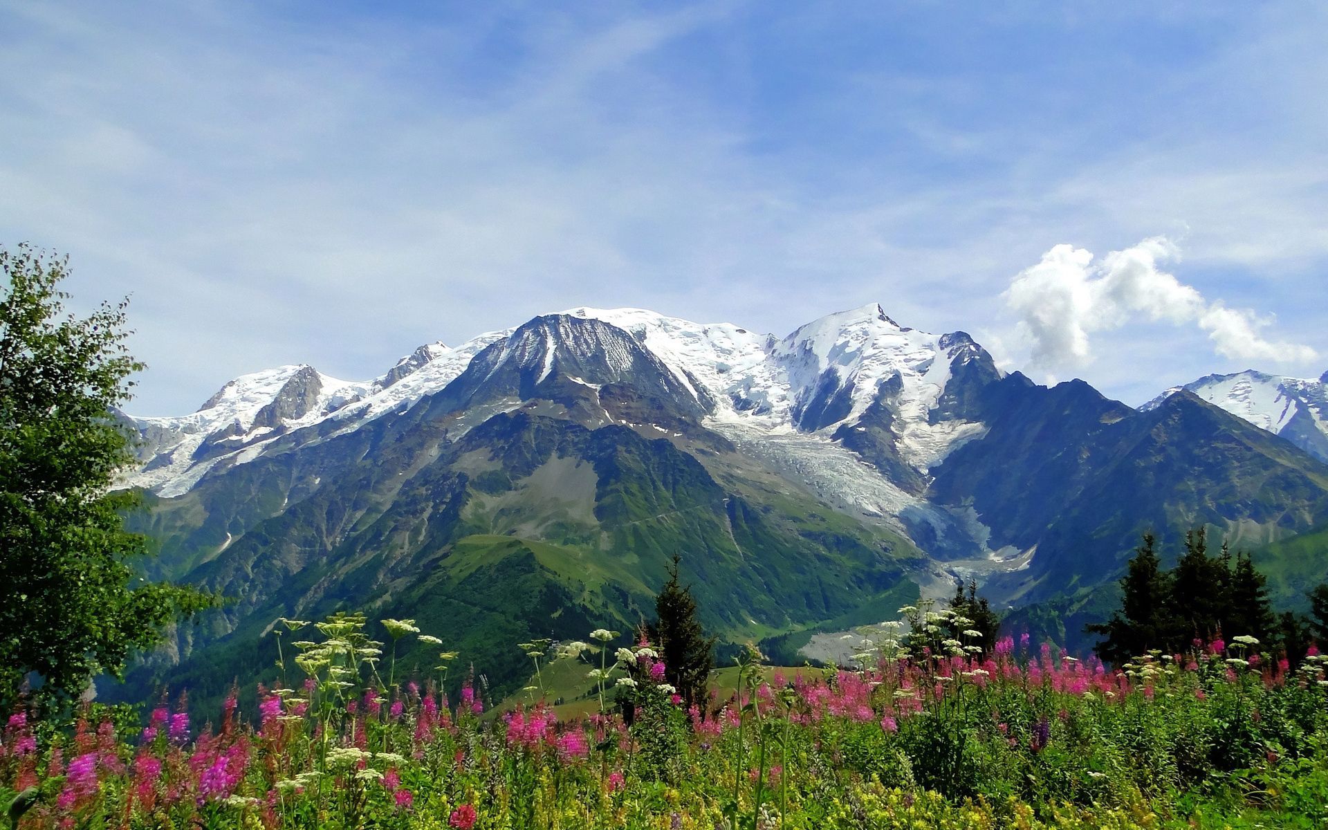 Download wallpaper 1920x1200 mountains, alps, flowers, tops
