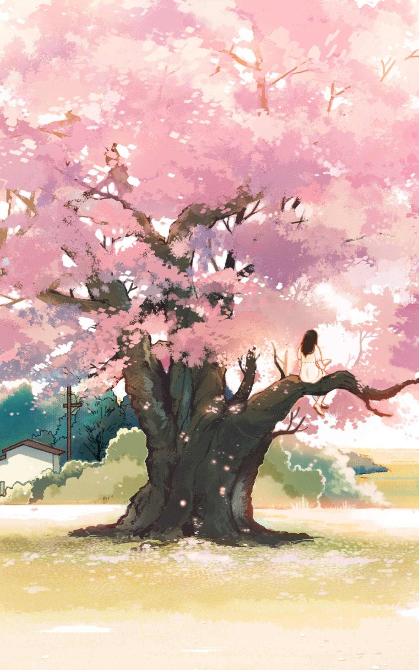 Download 1600x2560 Anime Landscape, Girl, Cherry Blossom, Pink