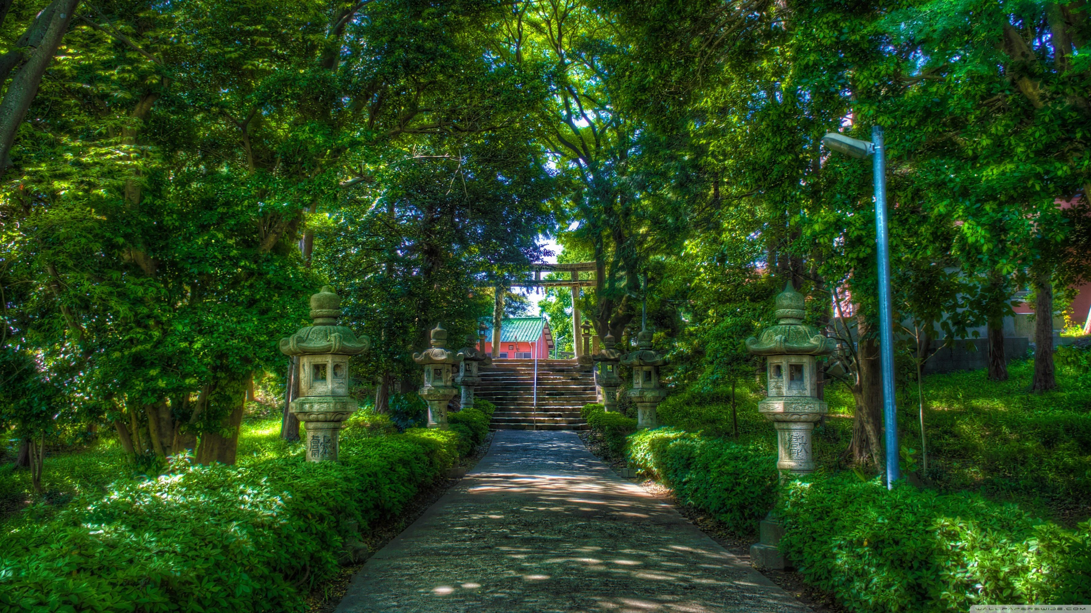 Walking Towards The Shinto Shrine Ultra HD Desktop Background