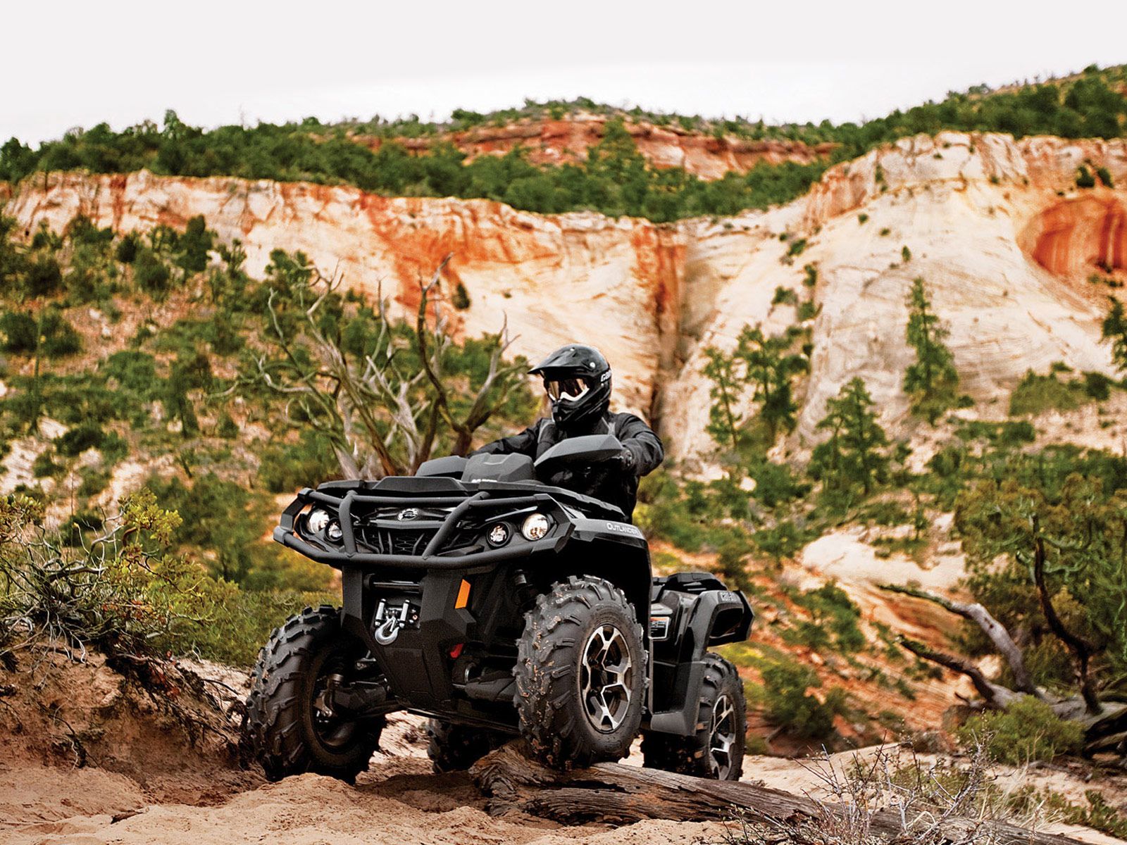 ATV picture, wallpaper, specs, insurance, accident lawyers: 2012