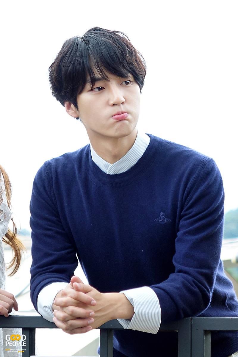 yang sejong collect