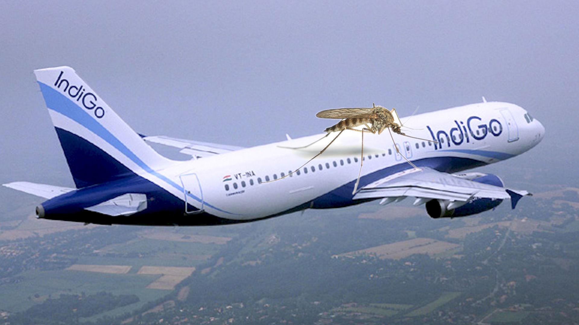 IndiGo Airlines offloads Bengaluru Doctor Over Complains