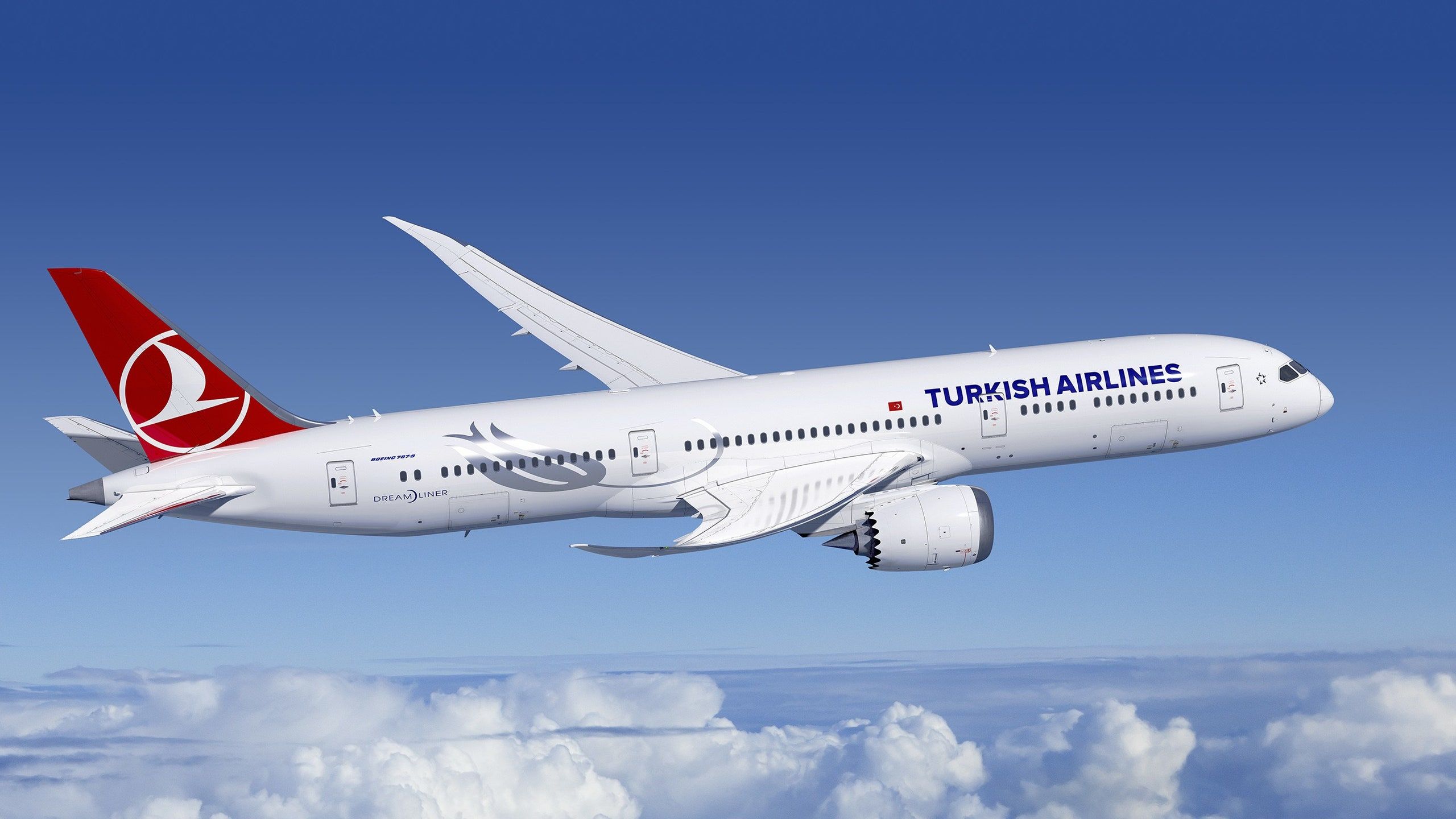 Turkish Airlines Soaring In The Sky