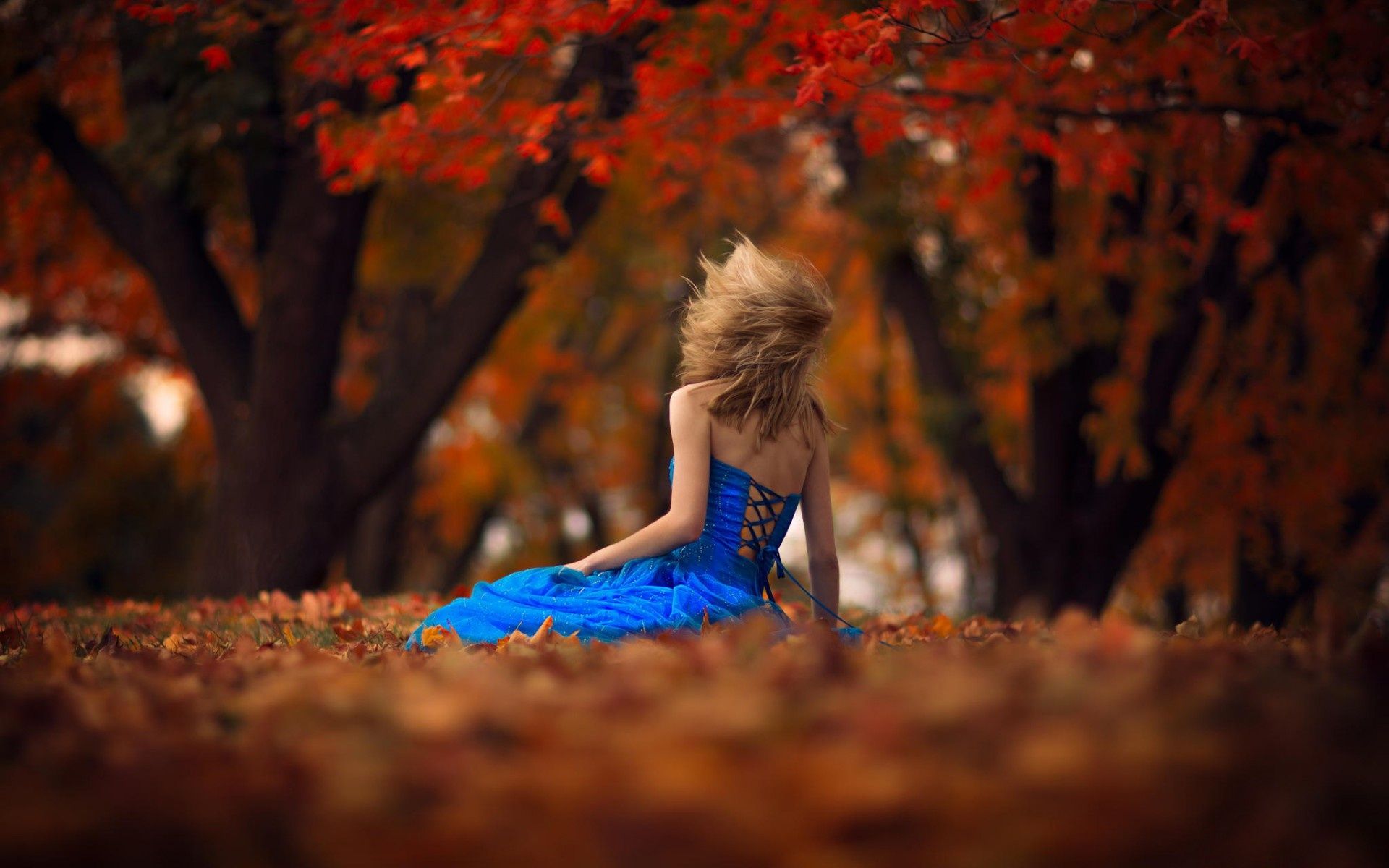 Wallpaper girl, dress, autumn, leaves, leaf desktop wallpaper