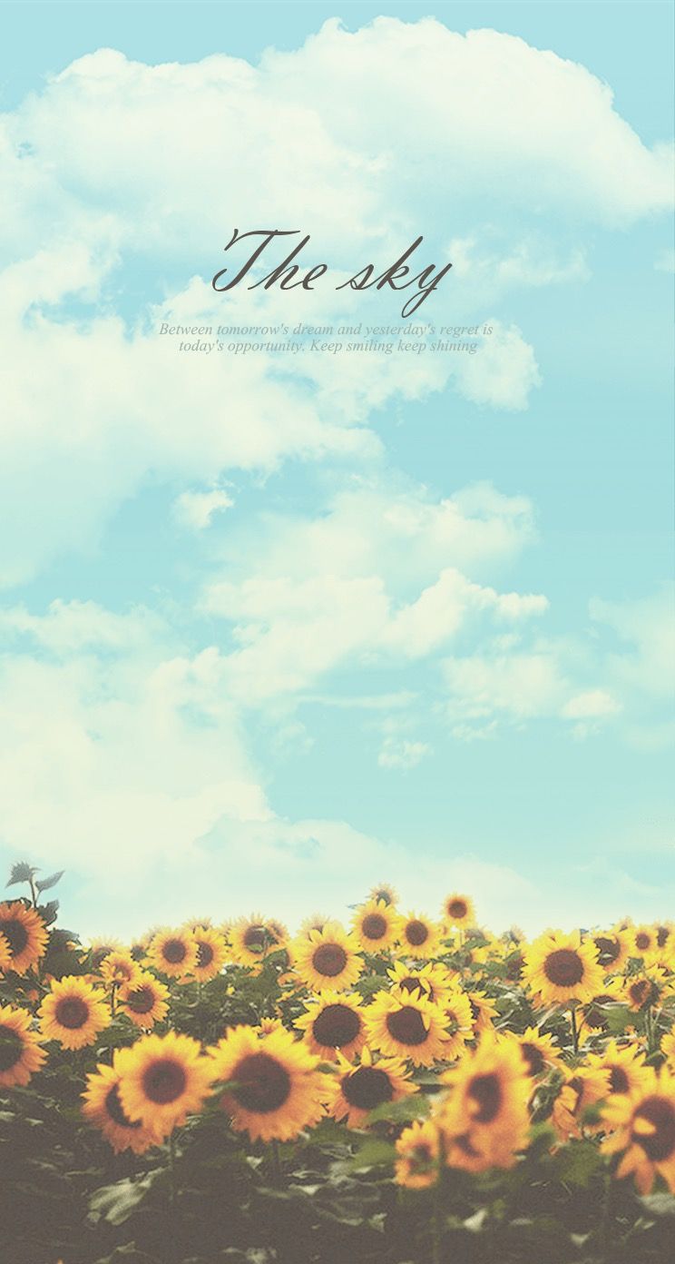 Sunflower Sky Keep Shining iPhone 6 Plus HD Wallpaper HD