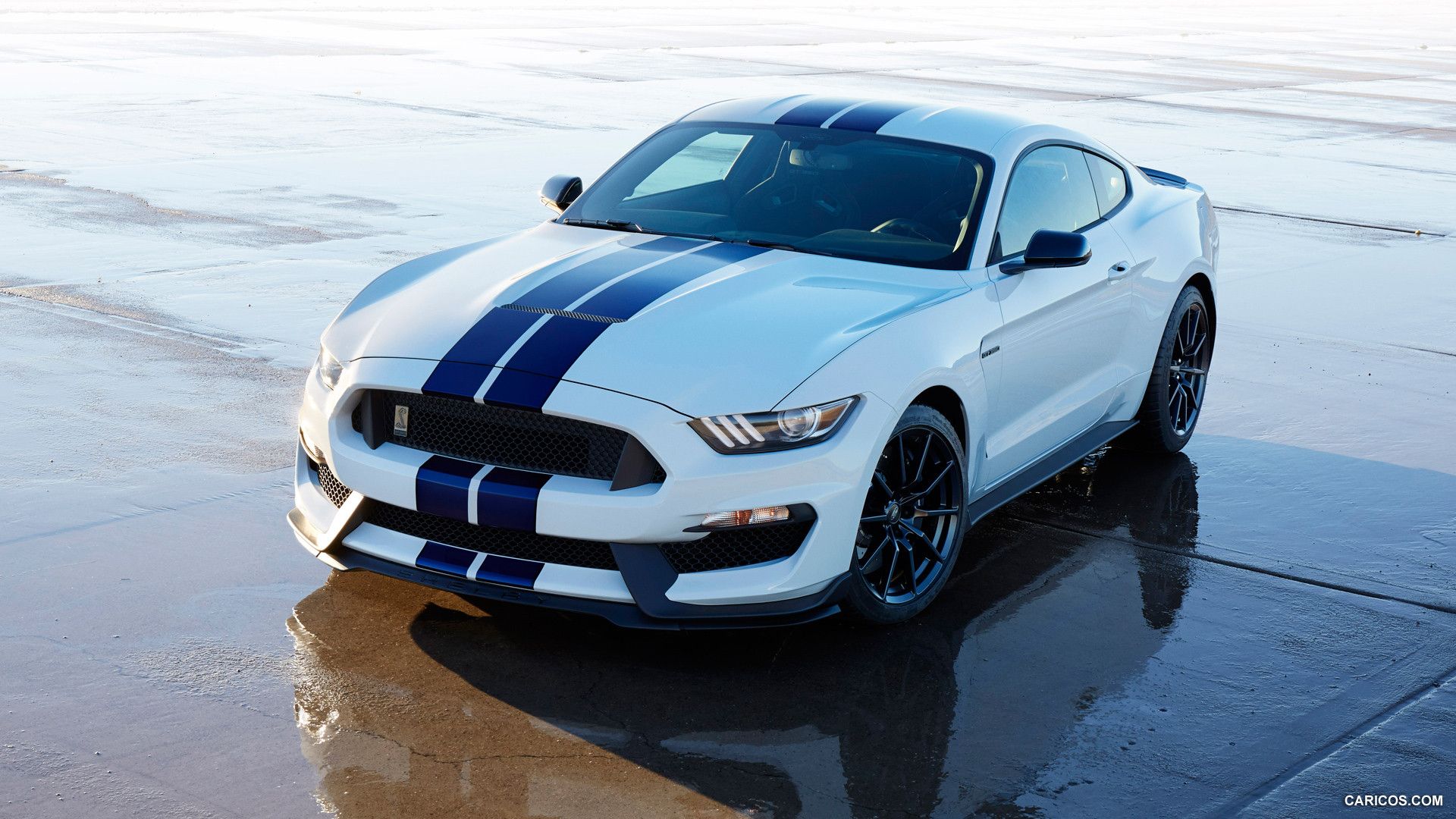 Ford Mustang Shelby GT350. HD Wallpaper