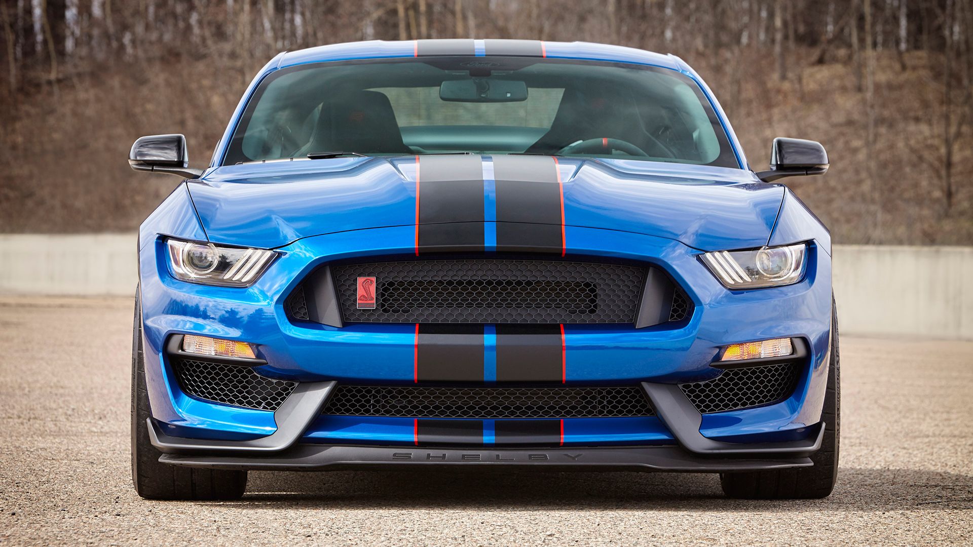Will The Ford Mustang Shelby GT350 Get A Dual Clutch Gearbox