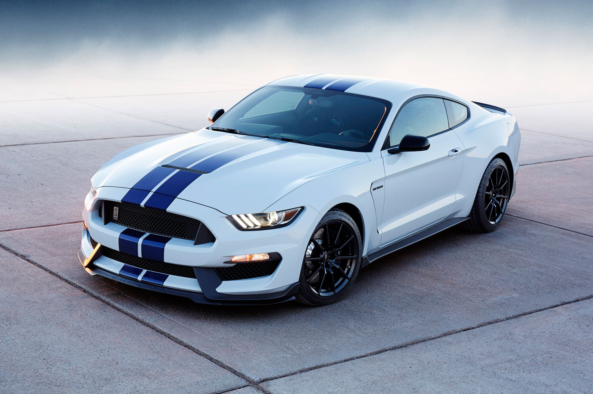 Shelby Wallpaper. Shelby Snake Wallpaper