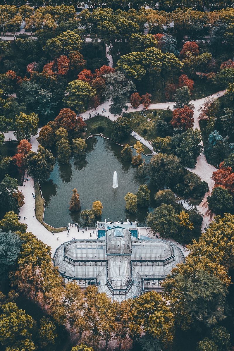 Download wallpaper 800x1200 palace, trees, top view, architecture