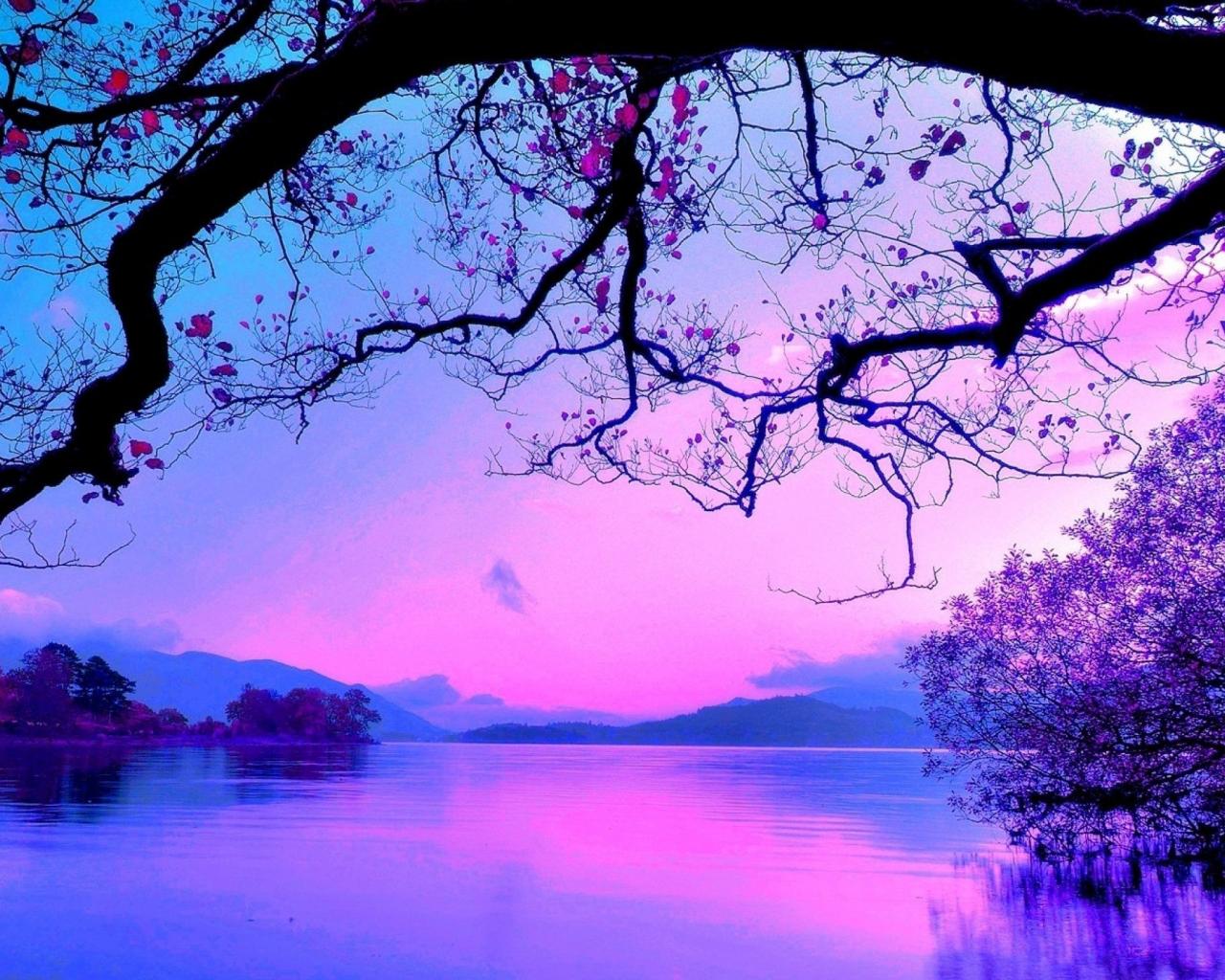 Blue and Purple sunset