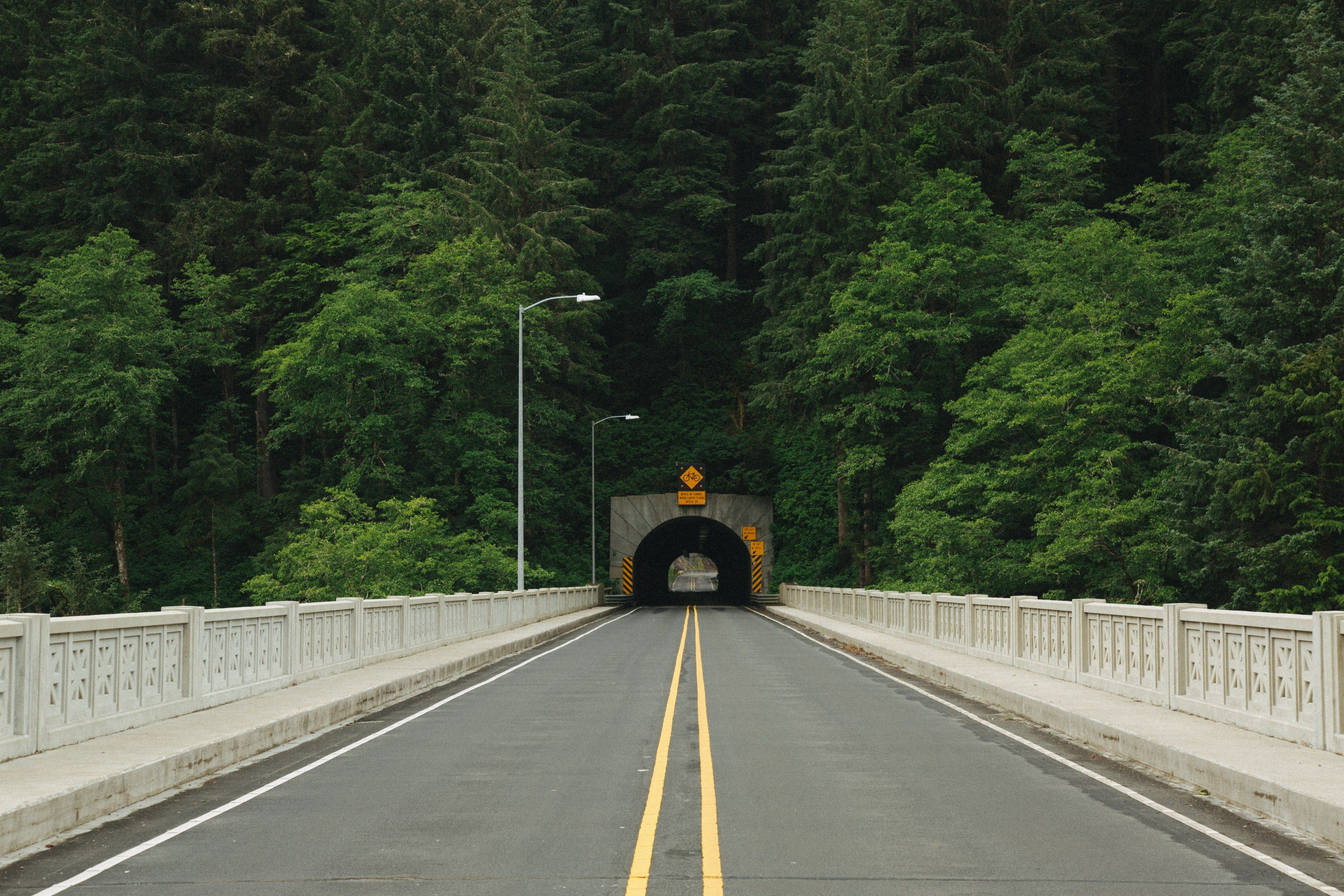 empty bridge road leads to a tunnelestoregon coast