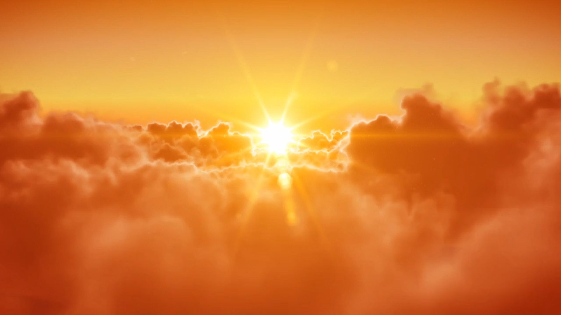 Sun Rays Wallpaper