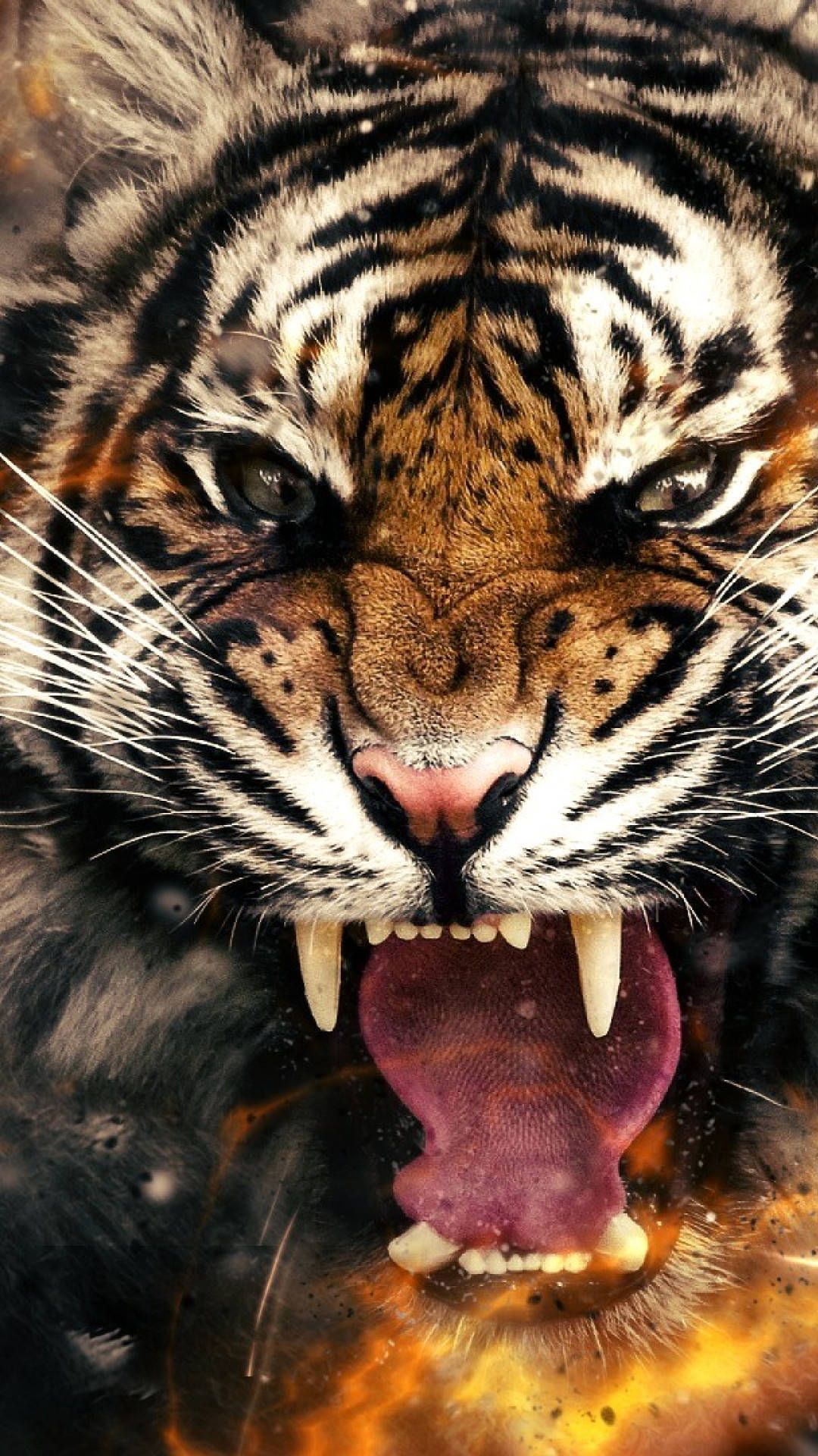 91 Wallpaper For Iphone Tiger For FREE - MyWeb