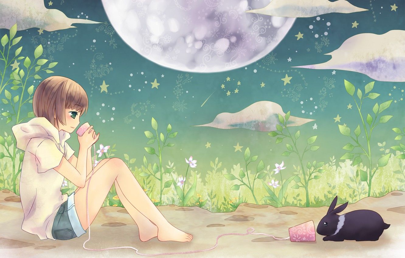 Wallpaper summer, night, mood, the moon, stars, anime, rabbit