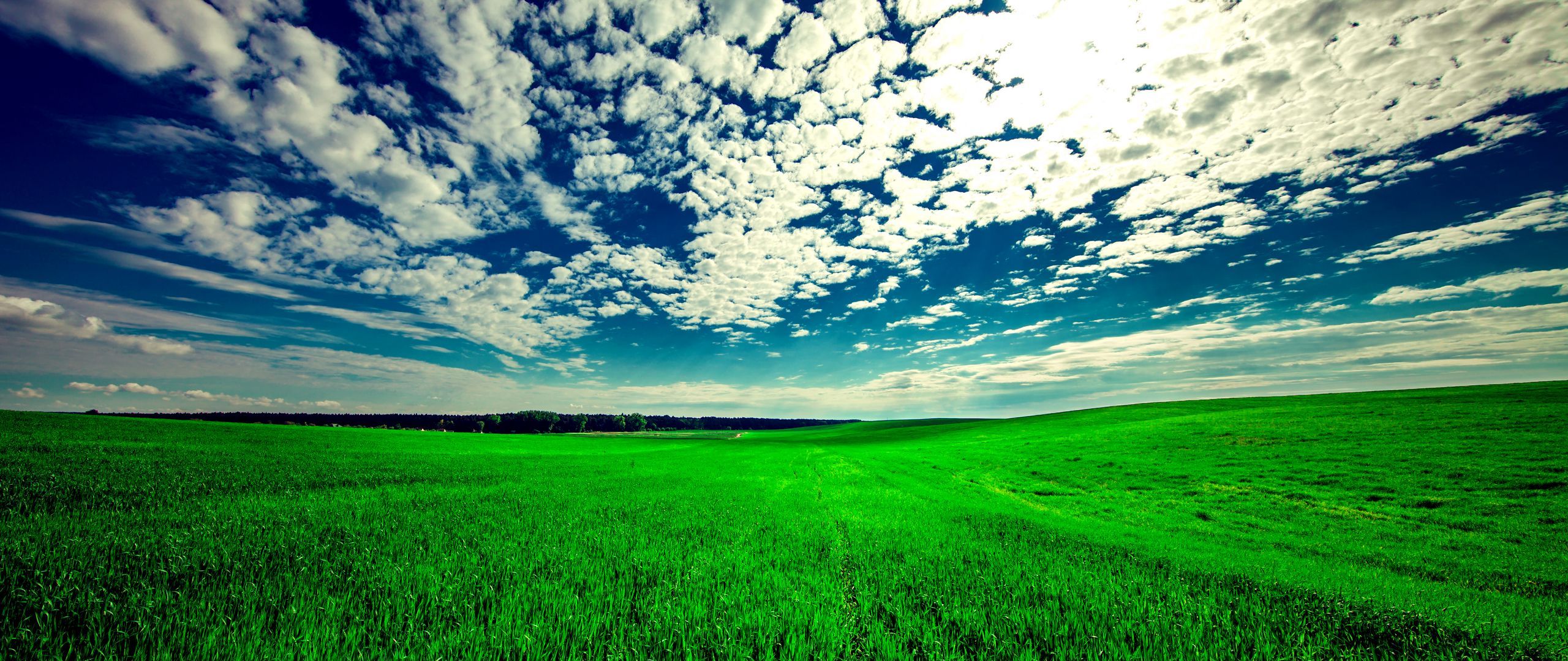 Download wallpaper 2560x1080 field, sky, grass, clouds, green