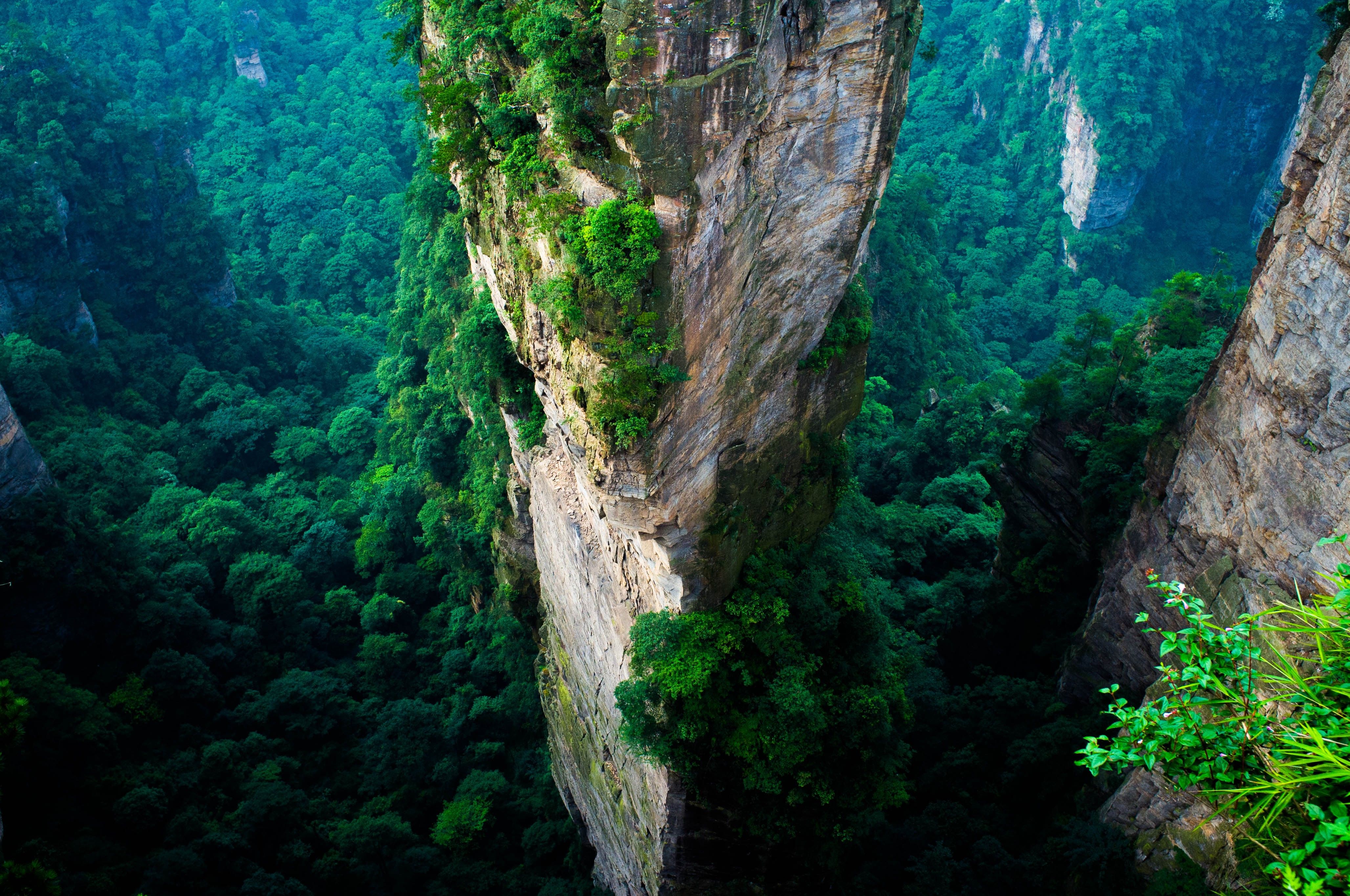 forest, China, Cliff, Mountain, Green, Summer, National Park
